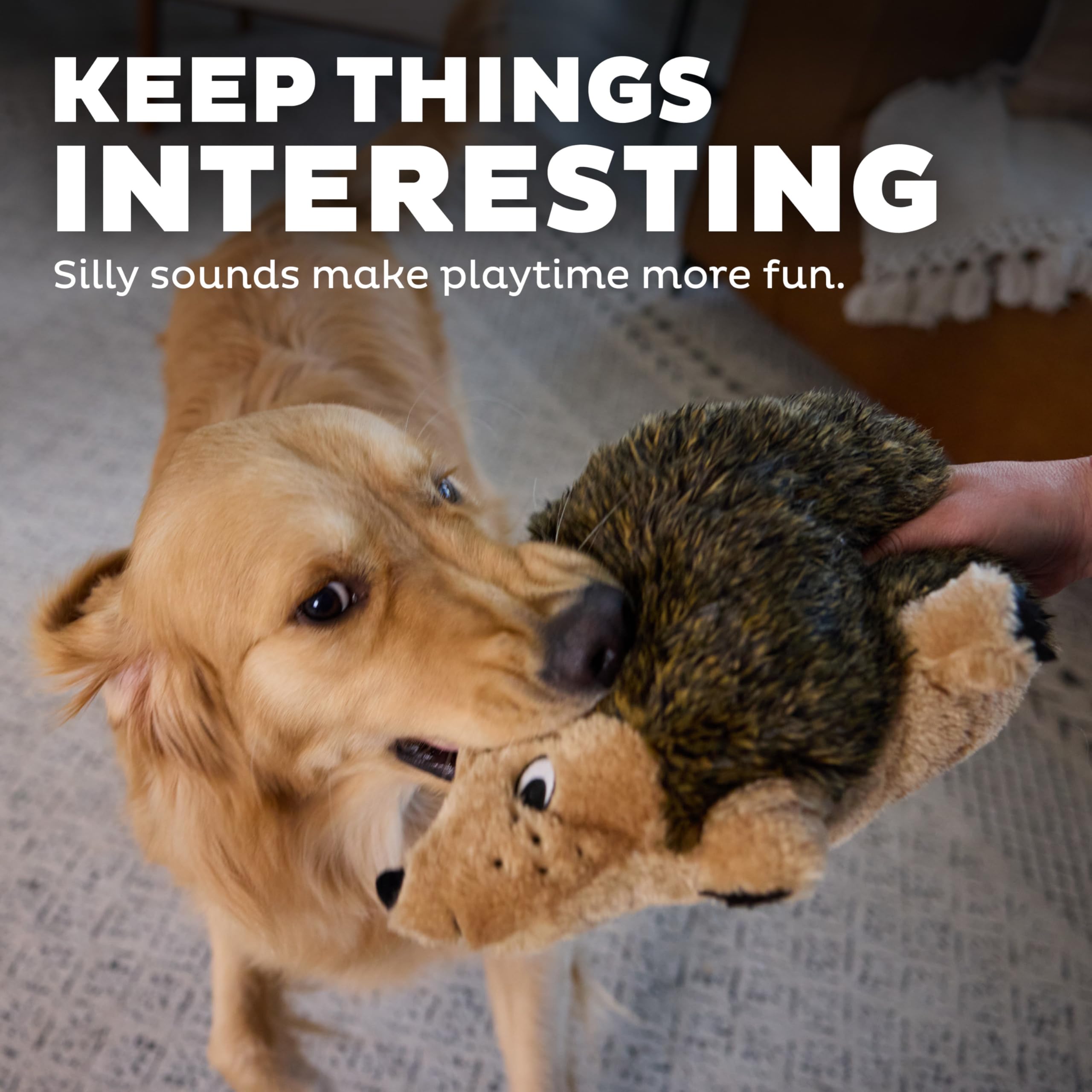 Outward Hound, Hedgehogz Plush Dog Toy, Large