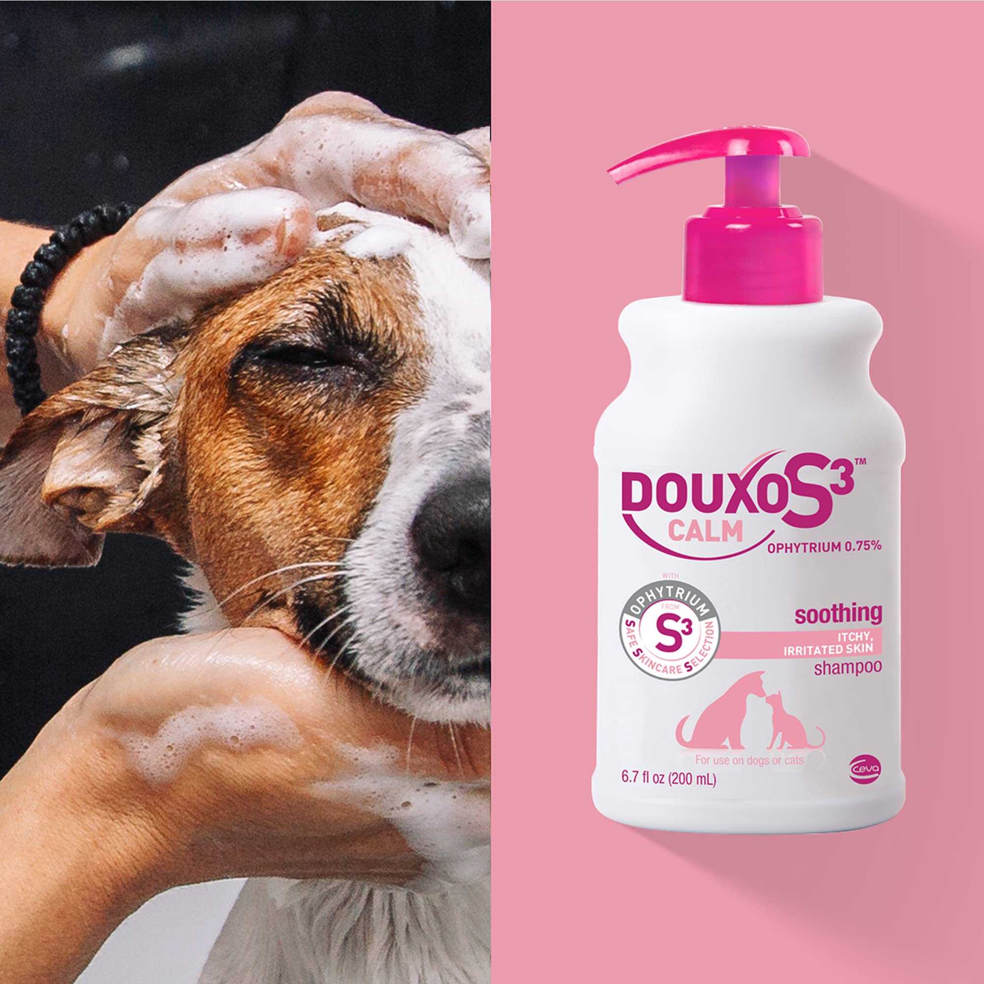 Douxo S3 Calm Shampoo 16.9 Oz (500 Ml) - For Dogs And Cats With Itchy Skin, Translucent