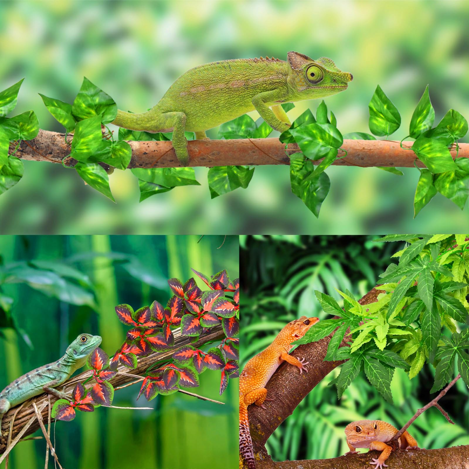 Katumo Reptile Plants, Amphibian Hanging Plants With Suction Cup For Snake, Bearded Dragons, Lizards, Geckos, Toads, Hermit Crab Tank Pets Habitat Decorations