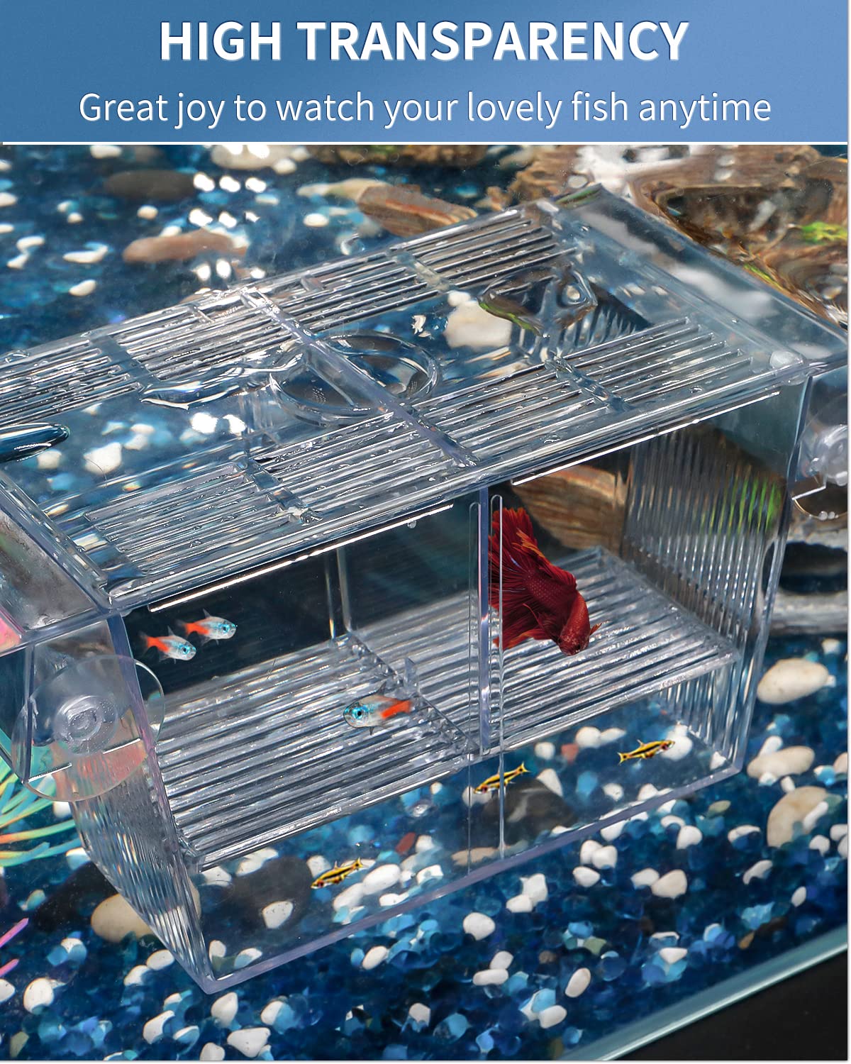 Pawfly Aquarium Fish Breeding Box Acrylic Hatchery Incubator Tank With – Petocart