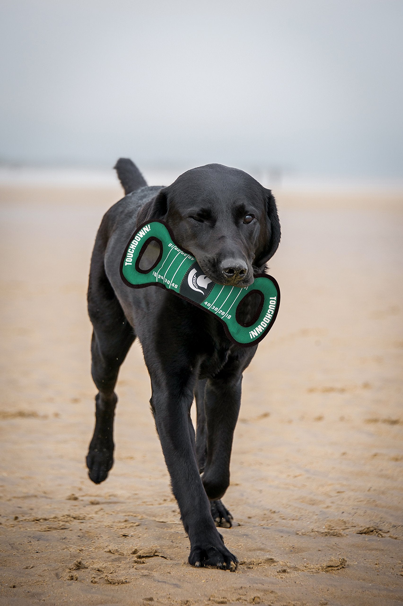 Pets First Ncaa Football Field Dog Toy With Squeaker. - Michigan State Spartans - For Tug, Toss, And Fetch. - Tough& Durable Pet