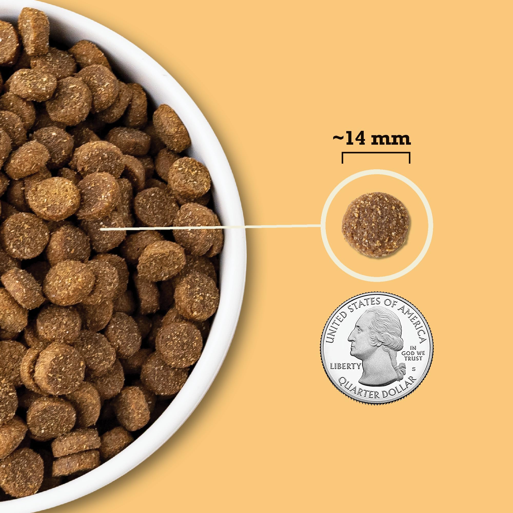 ACANA Wholesome Grains Dry Dog Food, Free-Run Poultry, Real Chicken & Turkey and Eggs Dog Food Recipe, 22.5lb