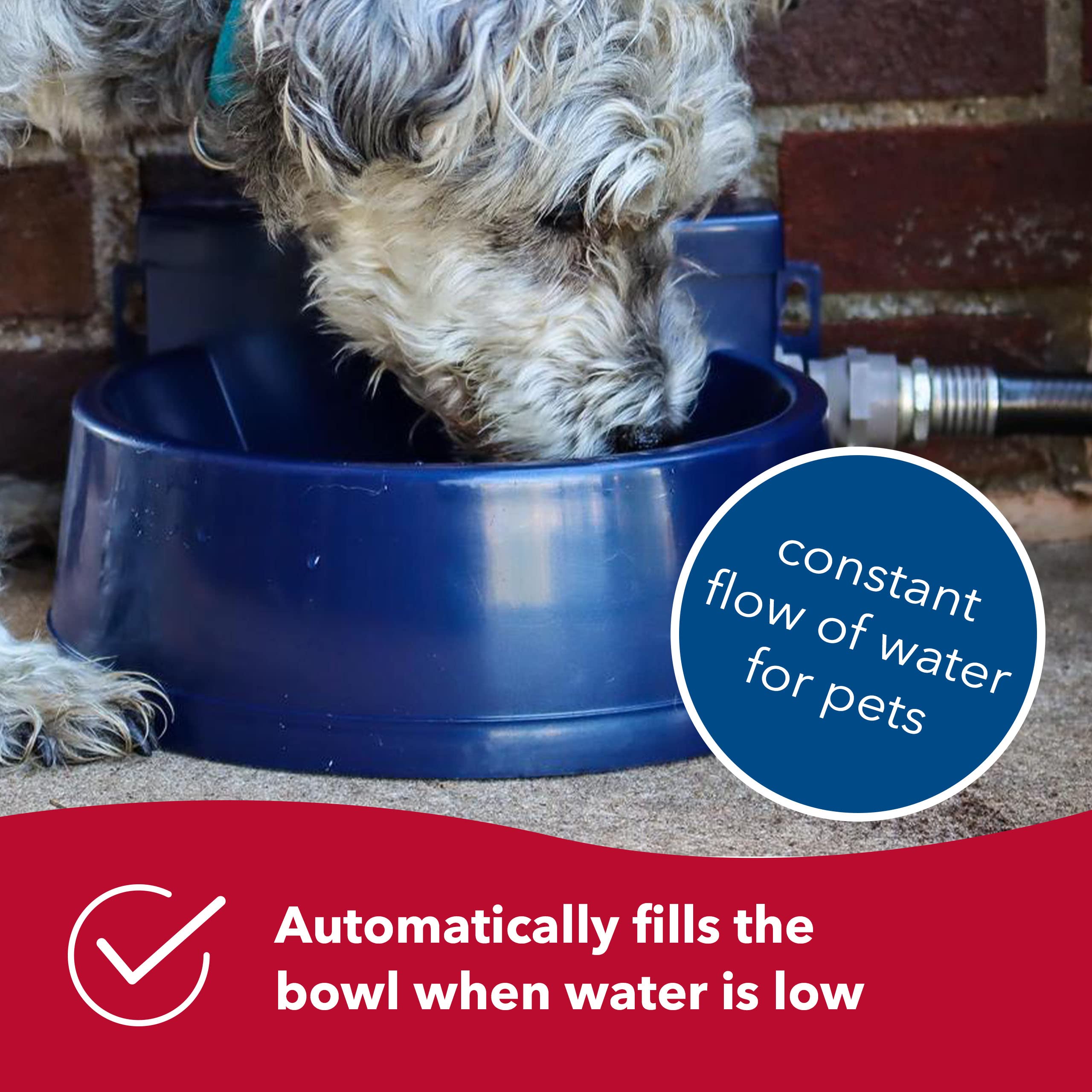Coastal Pet Bergan Auto-Wata - Outdoor Dog & Cat Water Dispenser - Automatic Water Bowl For Pets - Made From Durable, Bpa-Free Plastic - Self-Watering Cat & Dog Bowl - Navy, 48 Ounces