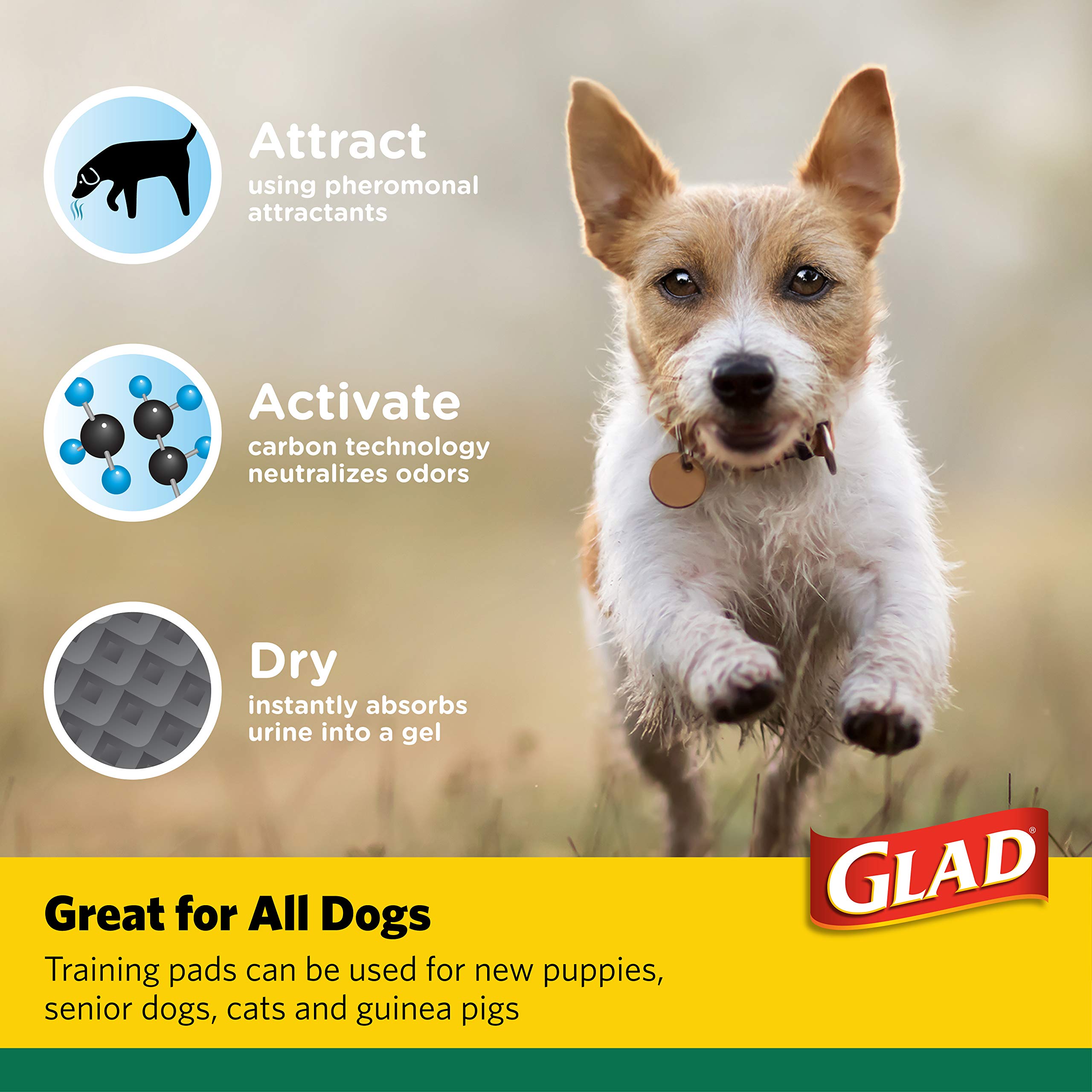Glad Activated Carbon Puppy Training Pads, Super Absorbent & Leak Proof, 72 Count, Giant Size, Ideal for Dogs