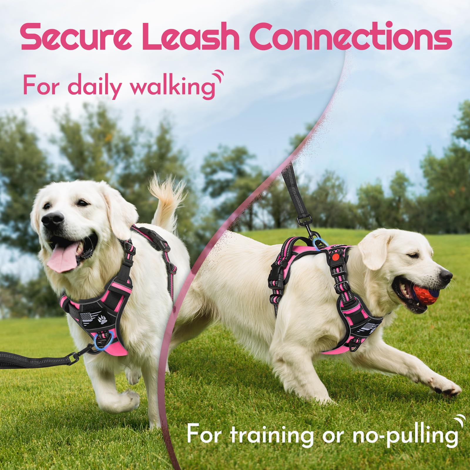 Eagloo Dog Harness for Large Dogs, Easy Wearing with 3 Buckles, Adjustable No Pull Pet Harness with 2 Rings for Walking, No Choc