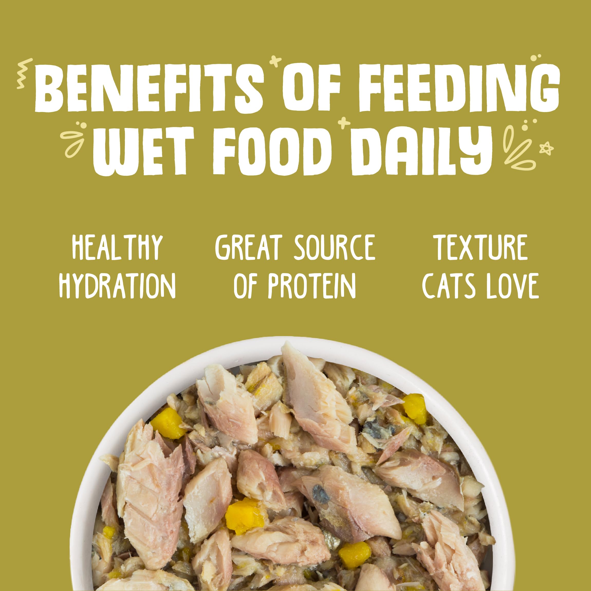 Weruva Classic Cat Food, Meow Luau with Mackerel & Pumpkin in Gravy, 3oz Can (Pack of 24)