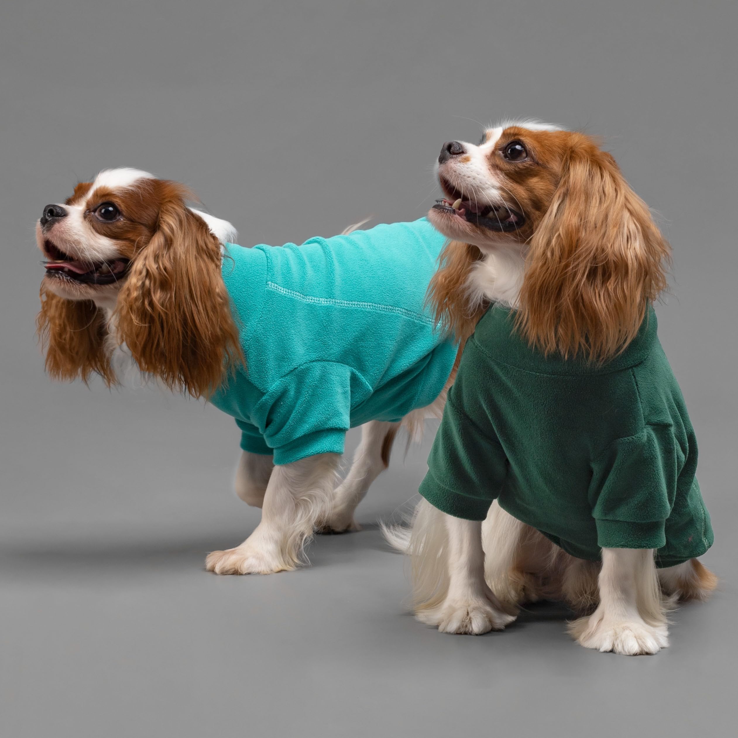 Fitwarm Fleece Dog Sweater 3 Pack, Turtleneck Pullover for Small Dogs, Dark Green-Aqua Green-Bean Green, Model Fwthreepackgreensweater_S_B0604