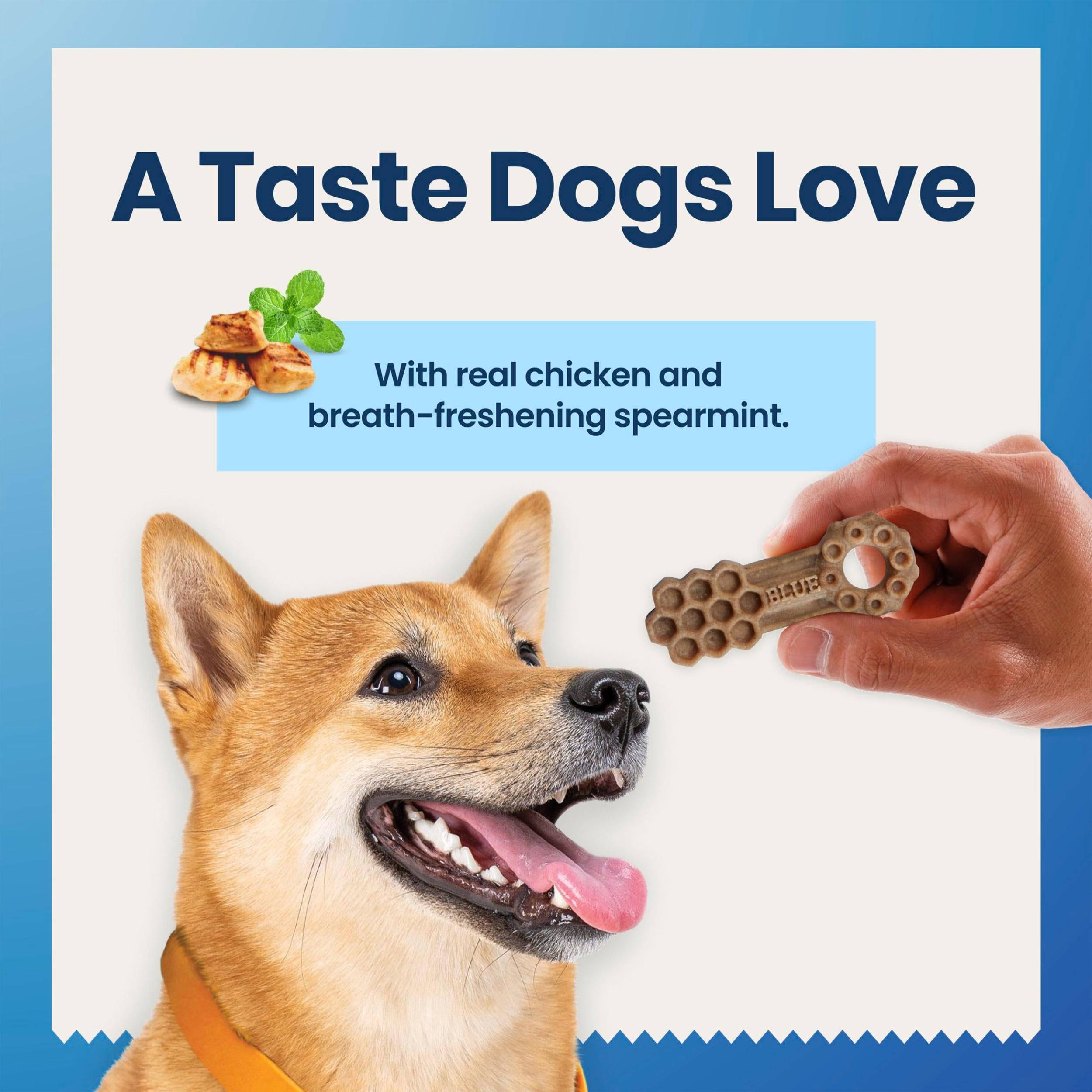 Blue Buffalo Medium Dental Chews for Dogs, Daily Dental Care Dog Treats Made in the USA with Natural Ingredients, Chicken & Spea
