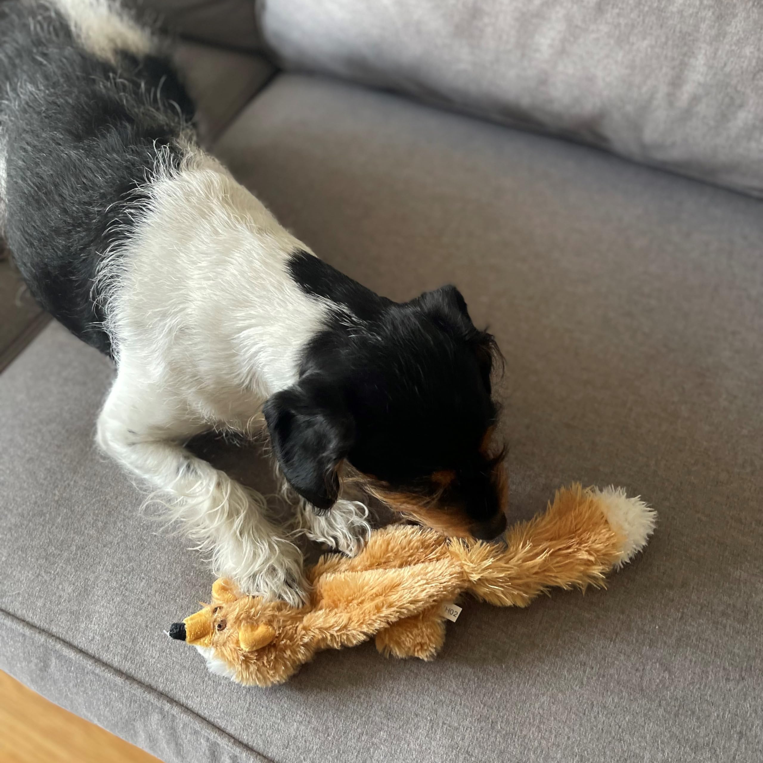Spot Mini Skinneeez Fox- Stuffless Dog Toy With Squeaker-No Stuffing Squeaky Dog And Puppy Toys, Unstuffed Chew Toy For Small &