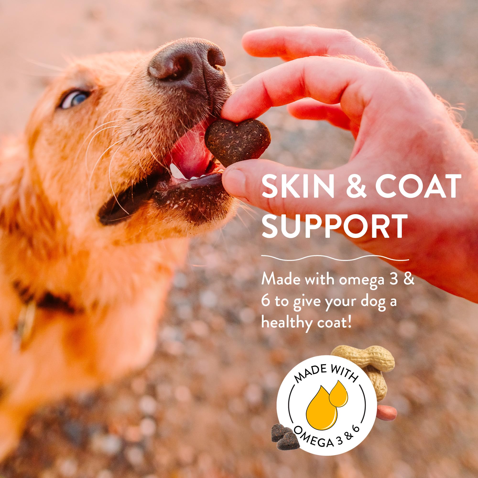 SHAMELESS PETS Natural Grain Free Dog Treats | Made in The USA from Upcycled Food Ingredients (Apple)