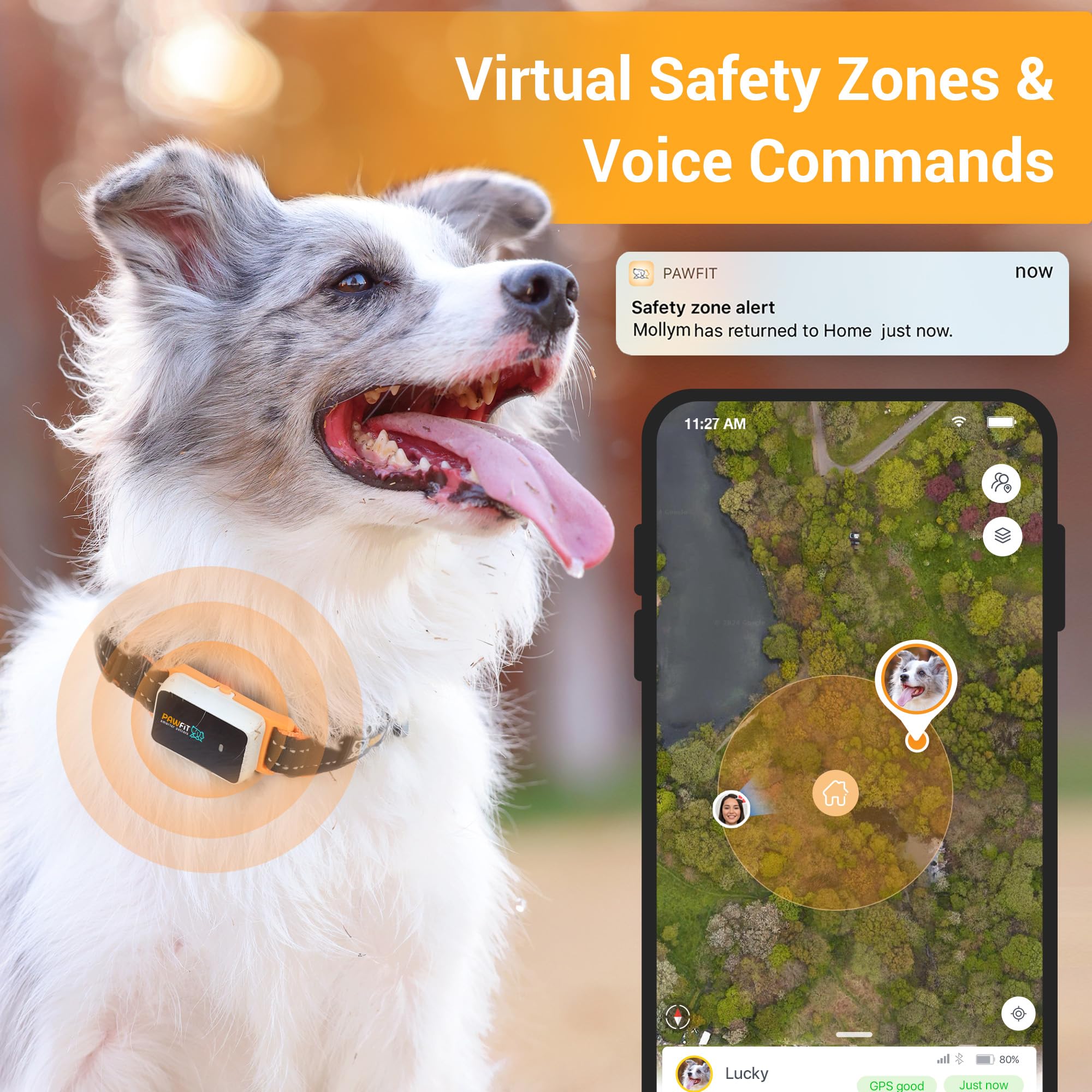 Pawfit 3 GPS Dog Tracker - 4G Live Tracking, Smart Alerts, Waterproof, Fits All Collars, Black