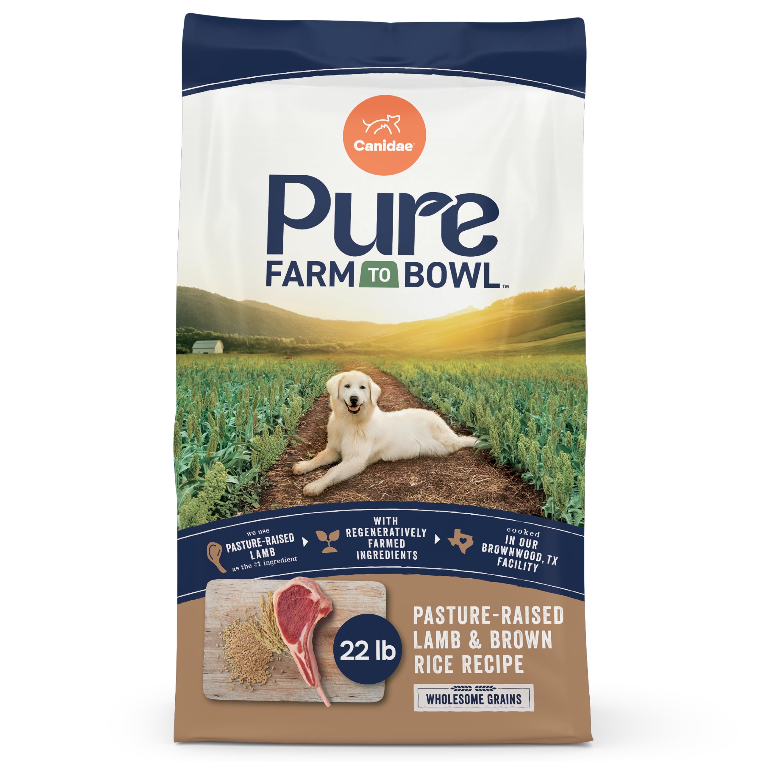 CANIDAE Pure Limited Ingredient Premium Adult Dry Dog Food, Lamb & Brown Rice Recipe, 22 lbs, with Wholesome Grains