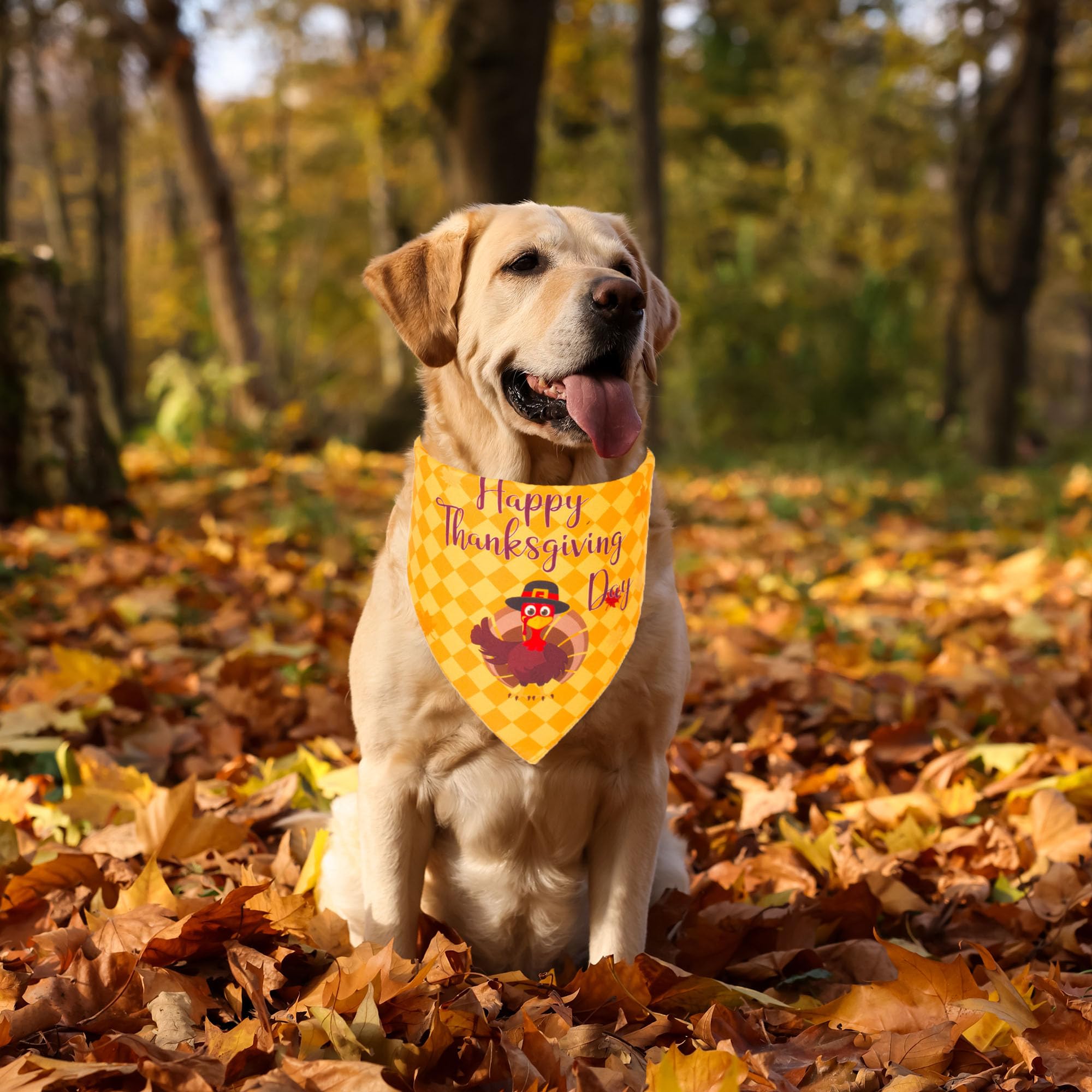Adoggygo Thanksgiving Dog Bandana Fall Autumn Pet Bandana Reversible Triangle Bibs Scarf Accessories For Large And Extra Large D