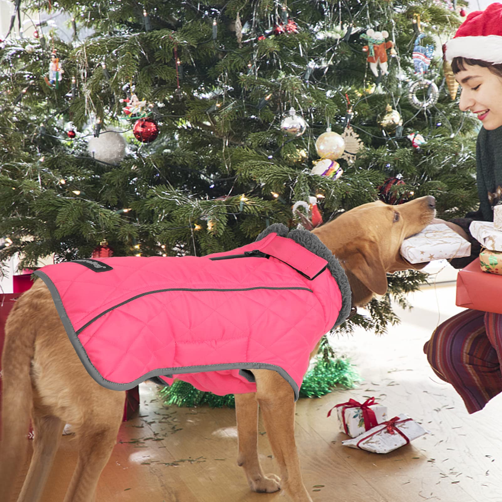 Fragralley Winter Coat Jacket, Windproof & Waterproof, Adjustable Dog Jacket, Turtleneck Fleece Vest For Dogs In Cold Weather
