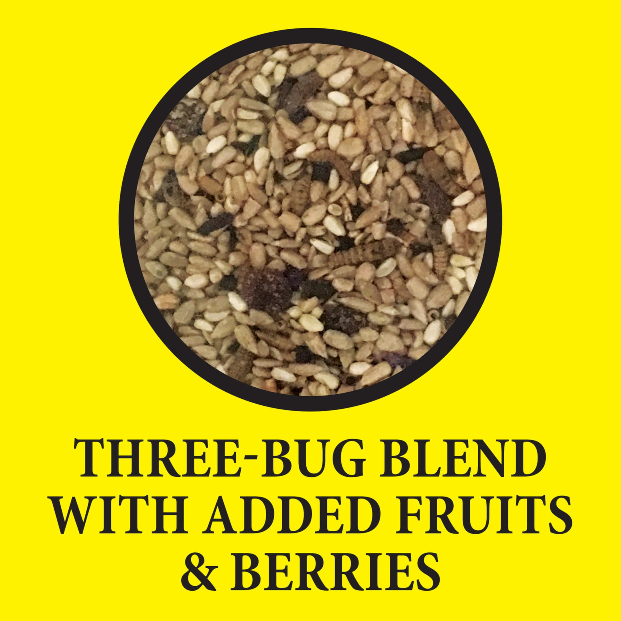 Wild Delight 099127 Bugs N Berries Wild Bird Food, 4.5 lb