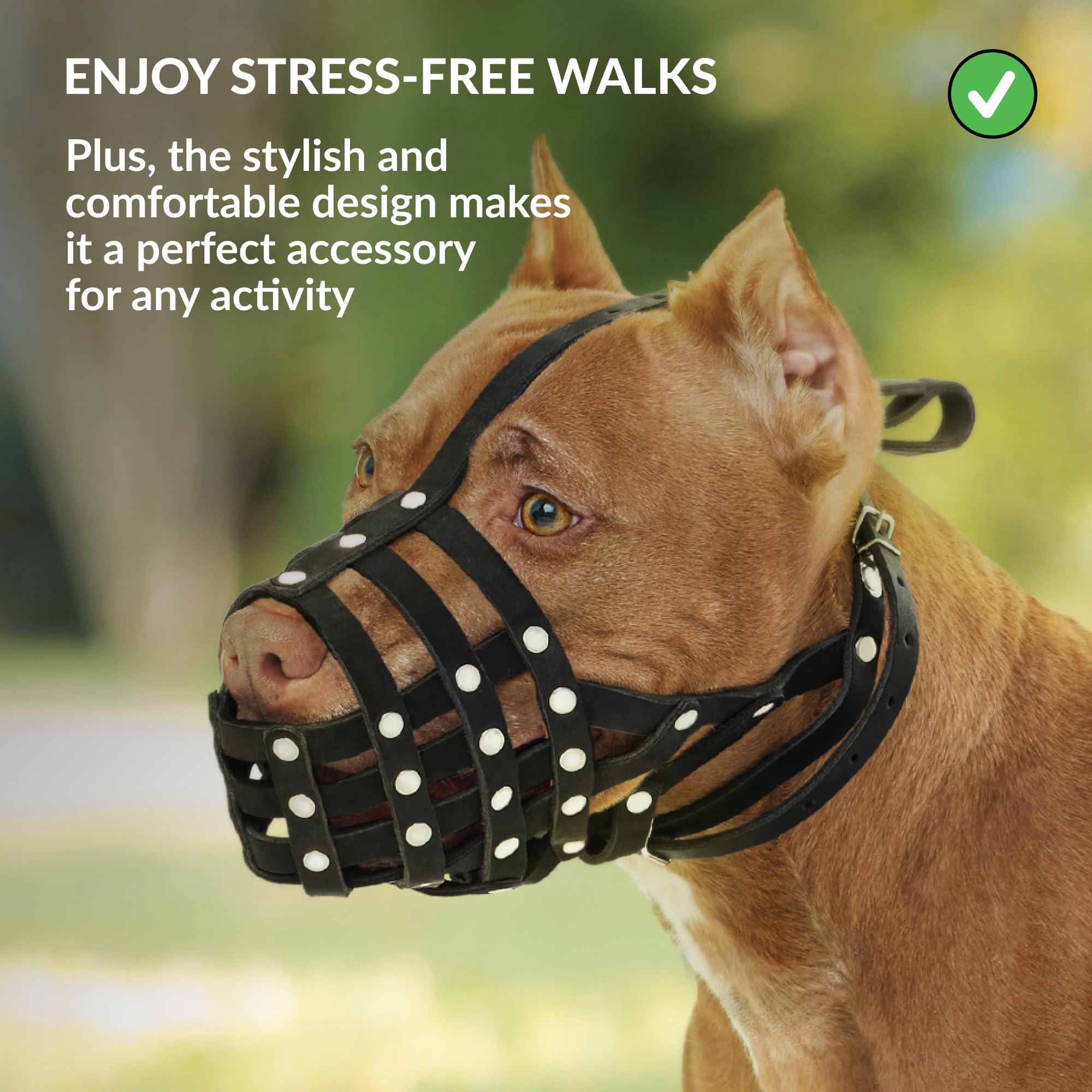 Collardirect Pitbull Dog Muzzle Leather Amstaff Muzzles Staffordshire Terrier Secure Basket (Brown)