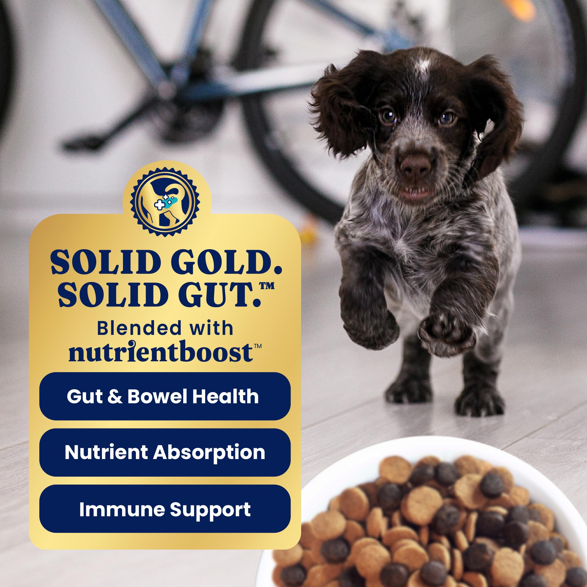 Solid Gold Chicken Dry Puppy Food - W/Real Chicken & Potato - Grain Free & Gluten Free Puppy Dog Food w/Probiotics for Gut Healt