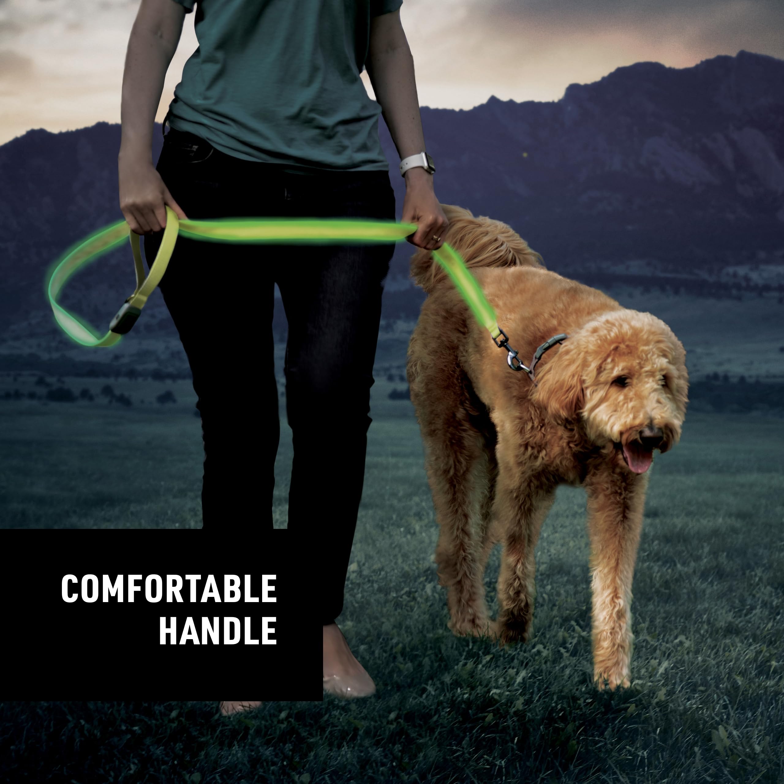 Nite Ize Nitedog Rechargeable Led Leash - Rechargeable Led Light Dog Leash With Padded Handle - Dog Walking Accessories For Walk