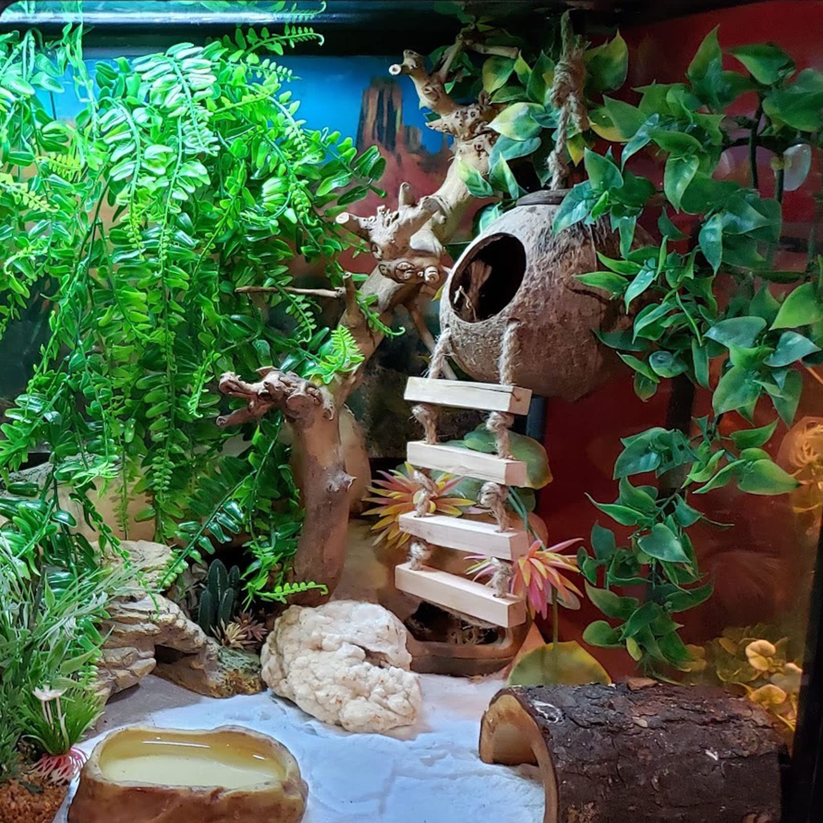 kathson Leopard Gecko Coconut Husk Hut Reptile Habitat Accessories Hideout Hole Climbing Ladder Bendable Hanging Plants Sleeping