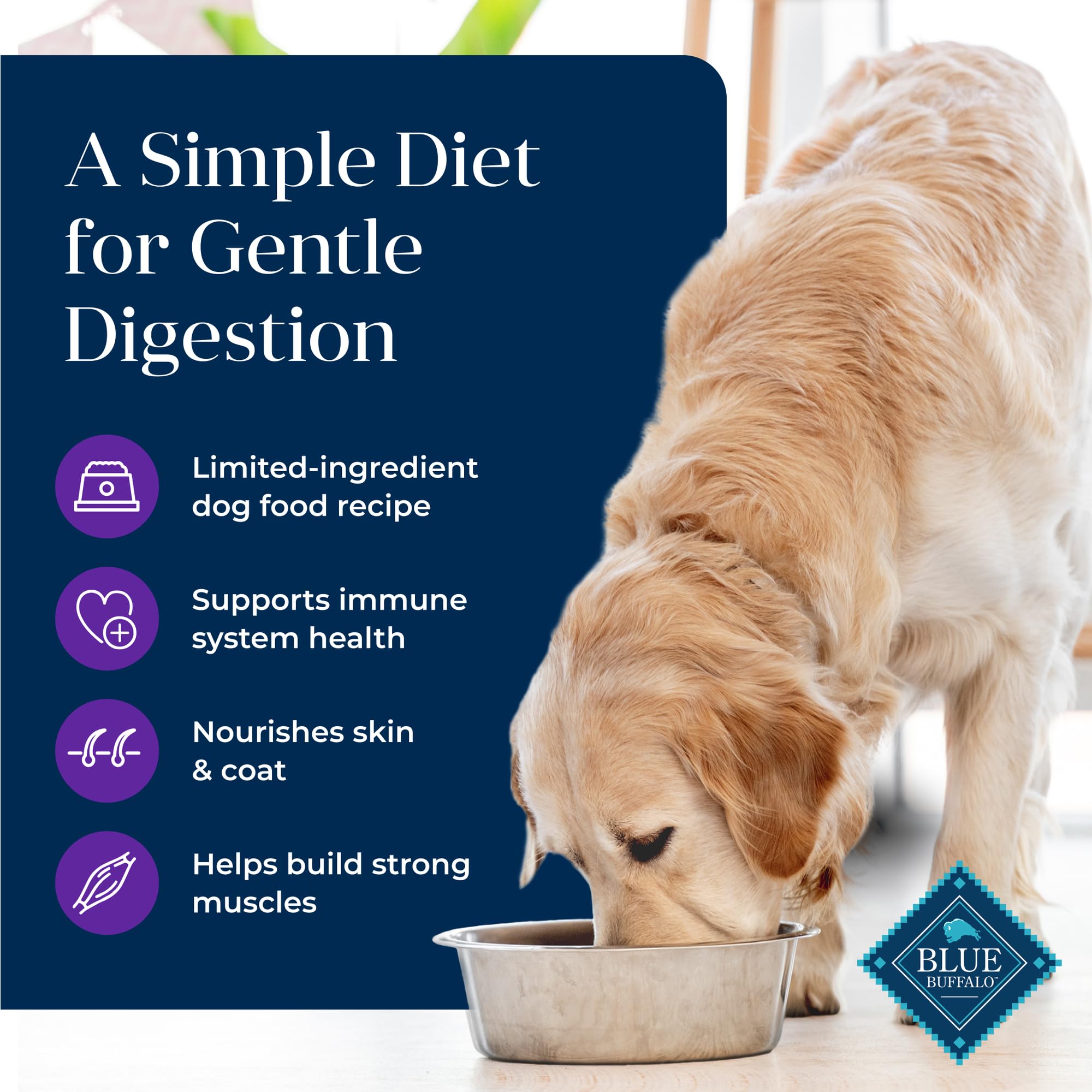 Blue Buffalo Basics Grain-Free Adult Dry Dog Food, Skin & Stomach Care, Limited Ingredient Diet for Dogs, Turkey Recipe, 24-lb.