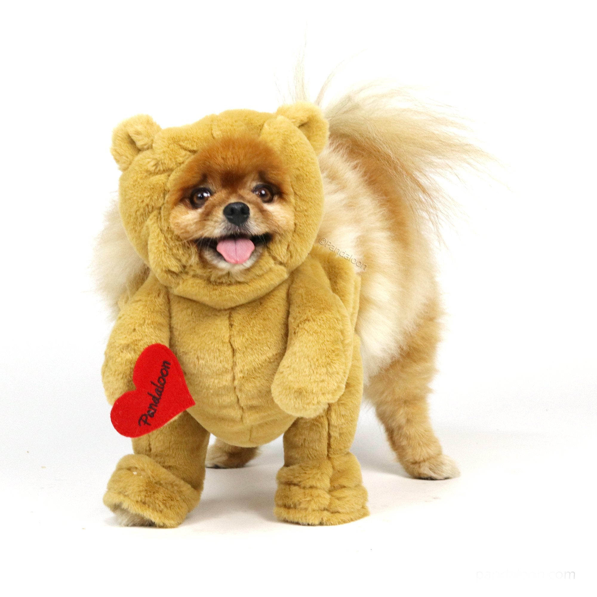 Pandaloon Dog Halloween Costume - As Seen On Shark Tank - Patented - Funny Costume With Arms For Small And Medium Dogs And Cats (Teddy Bear, Size 2(15-16 In Height At Top Of Head,Girth<16 In))
