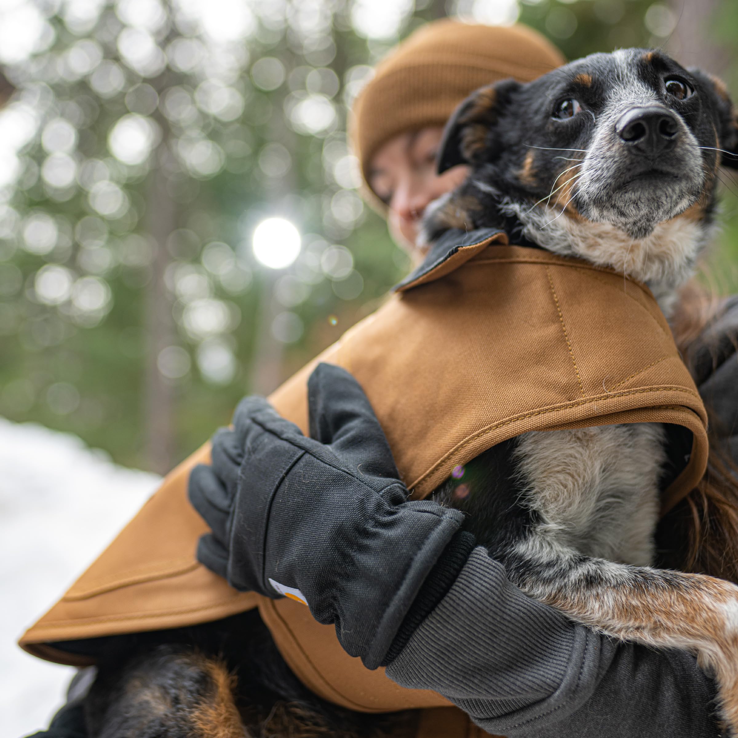 Carhartt Firm Duck Dog Chore Coat, Insulated Weather Resistant Jacket for Cold and Windy Conditions, Hunter Orange, Large