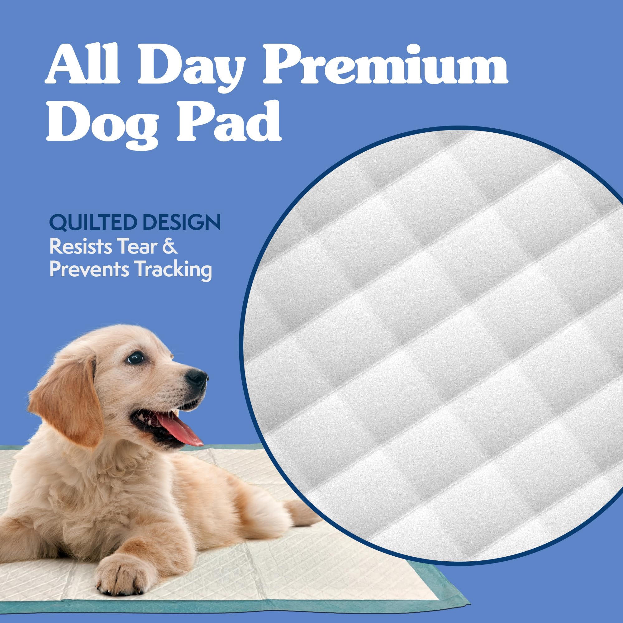 Simple Solution Training Puppy Pads - 6 Layer Dog Pee Pads, Absorbs Up To 6 Cups Of Liquid - 23X24In - 100 Count