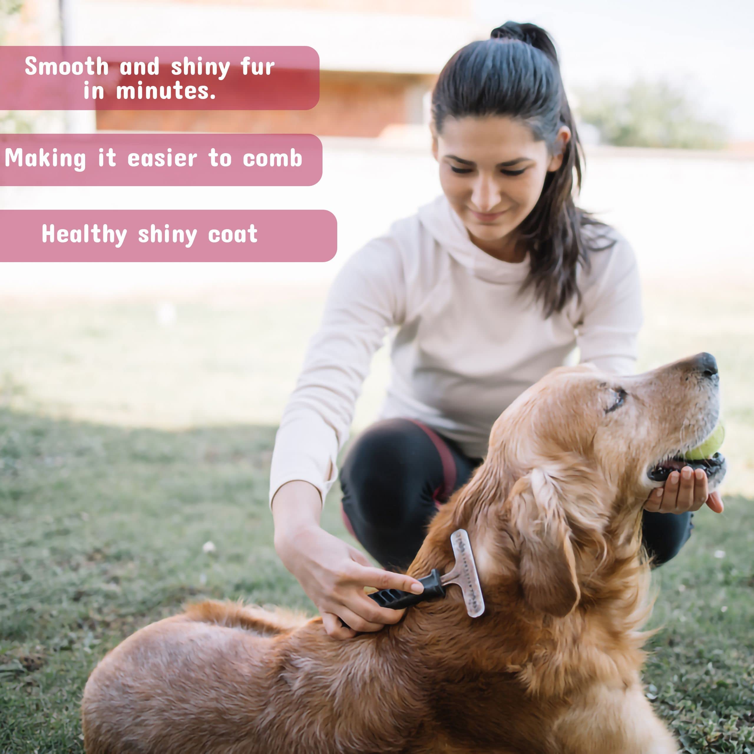 Pet Silk Pet Silk D-Limonene Shampoo 16 Oz, 16 Oz