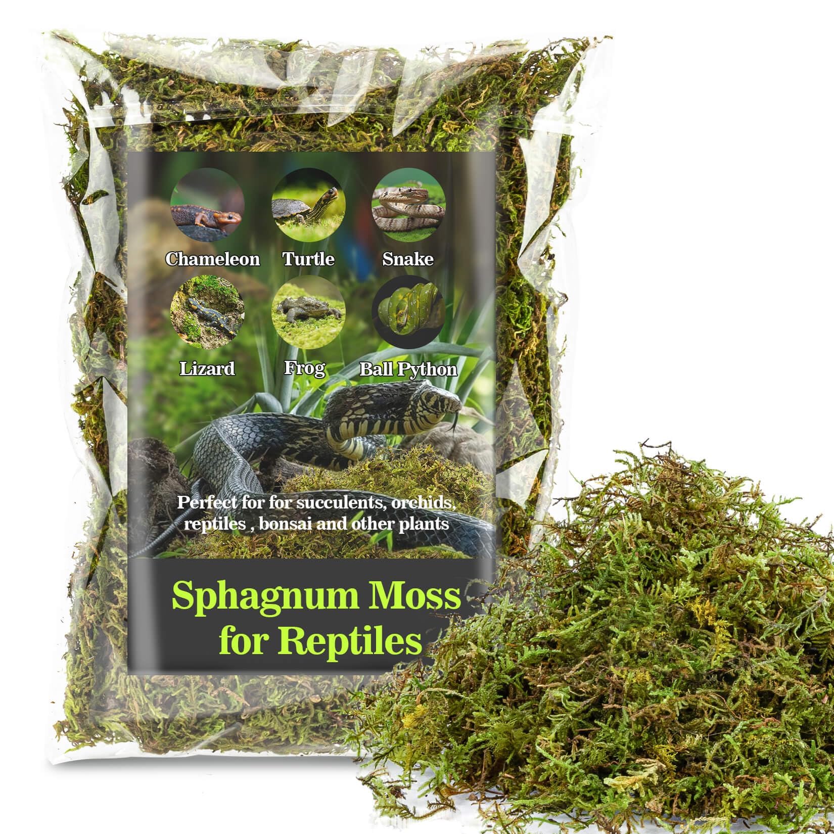 Sukh Sphagnum Moss For Reptiles - Terrarium Reptiles Moss Green Dried Peat Moss Habitat Bedding Moss For Snakes Turtle Frog Geck