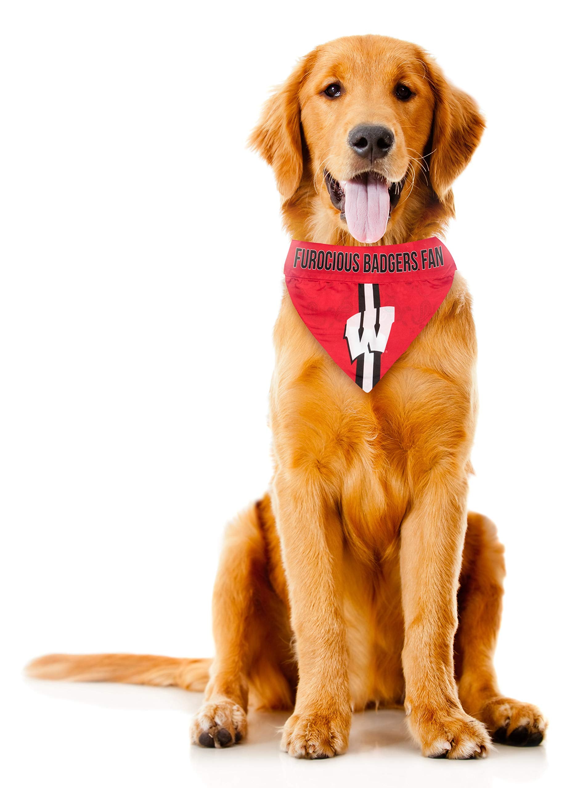 Wisconsin Badgers Pet Bandanna Size XL - Special Order
