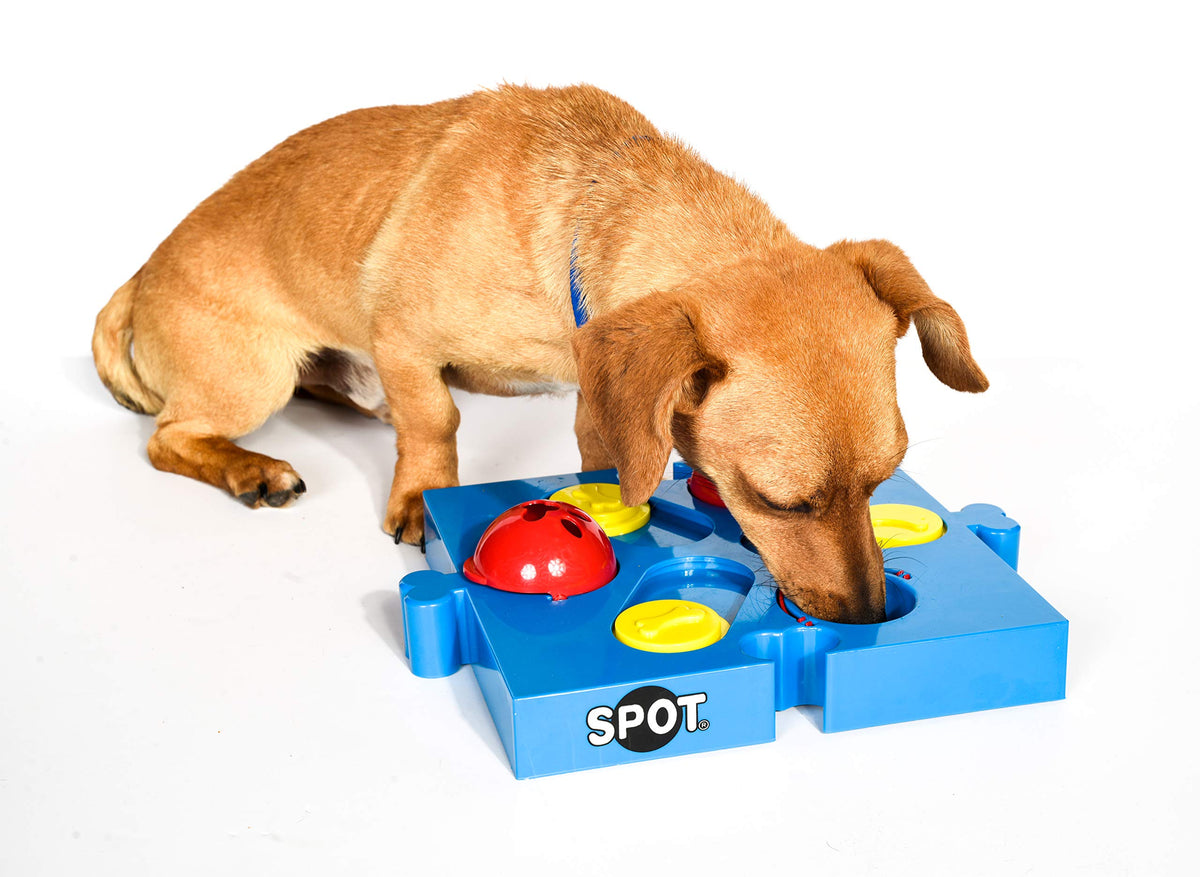 Spot By Ethical Products Interactive Seek-A-Treat Flip 'N' Slide Dog Toy Puzzle | Dog Treat Reward Toy Connector Puzzle Improves Your Dog'S Iq | Specially Designed For Training Treats