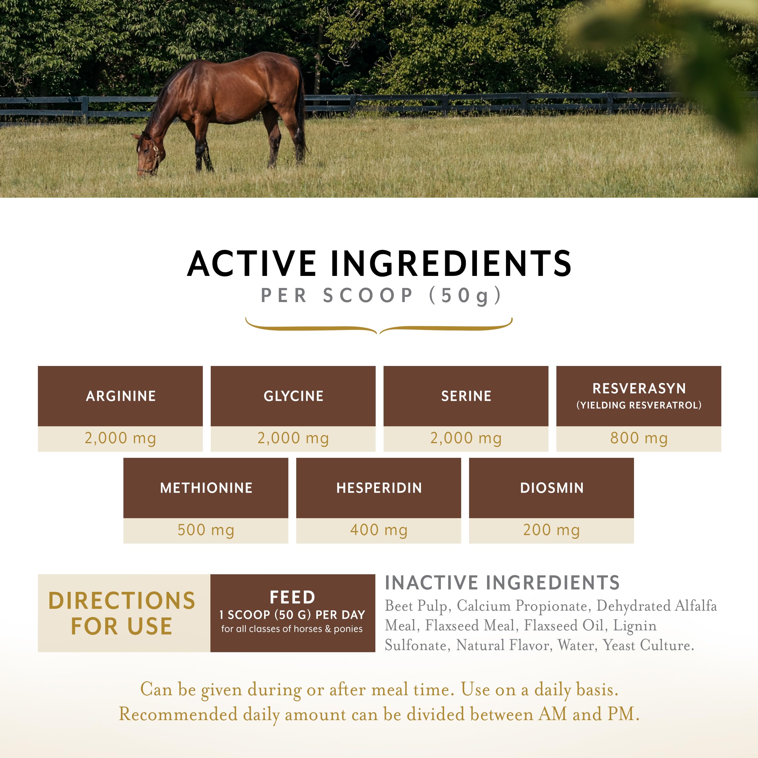 Equithrive MetaCare Horse Supplement Pellets with Resveratrol, Flavonoids and Amino Acids, Equine Metabolic Support, 3.3 lbs, 30