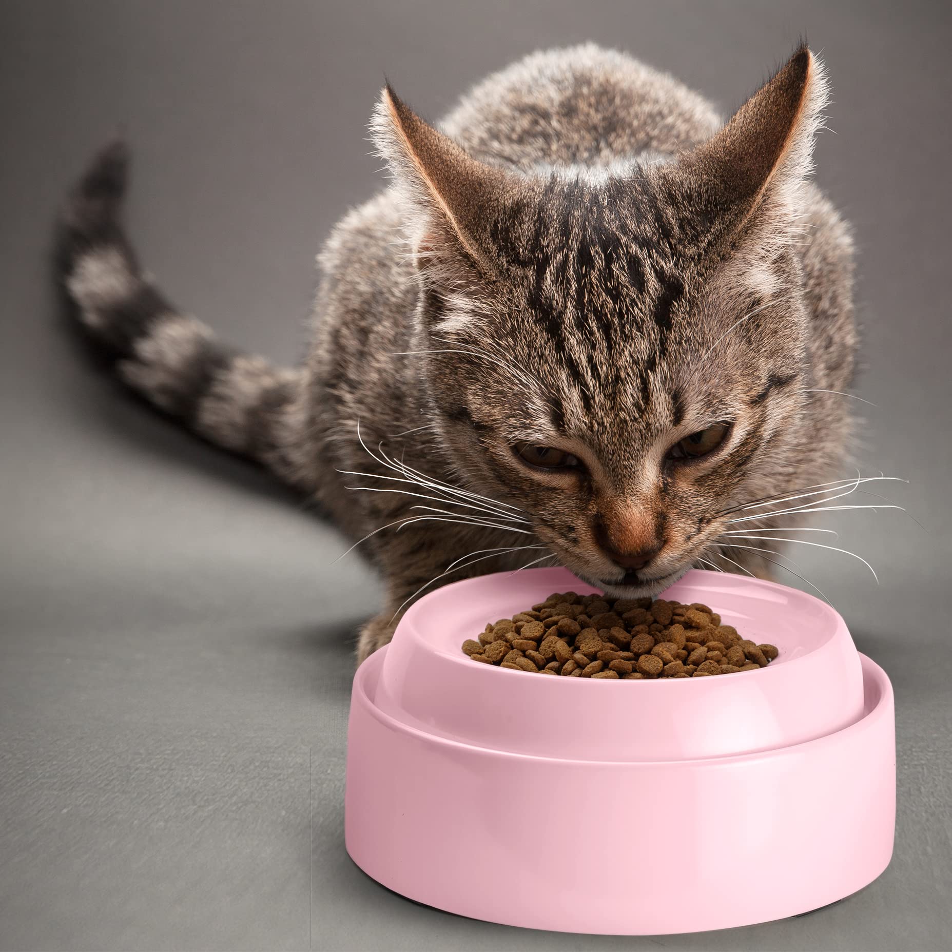 CatGuru Cat Bowls, Whisker Stress Free Cat Food Bowl, Reliefs Whisker Fatigue, Wide Cat Bowl, Non Slip Cat Food Bowls, Shallow C