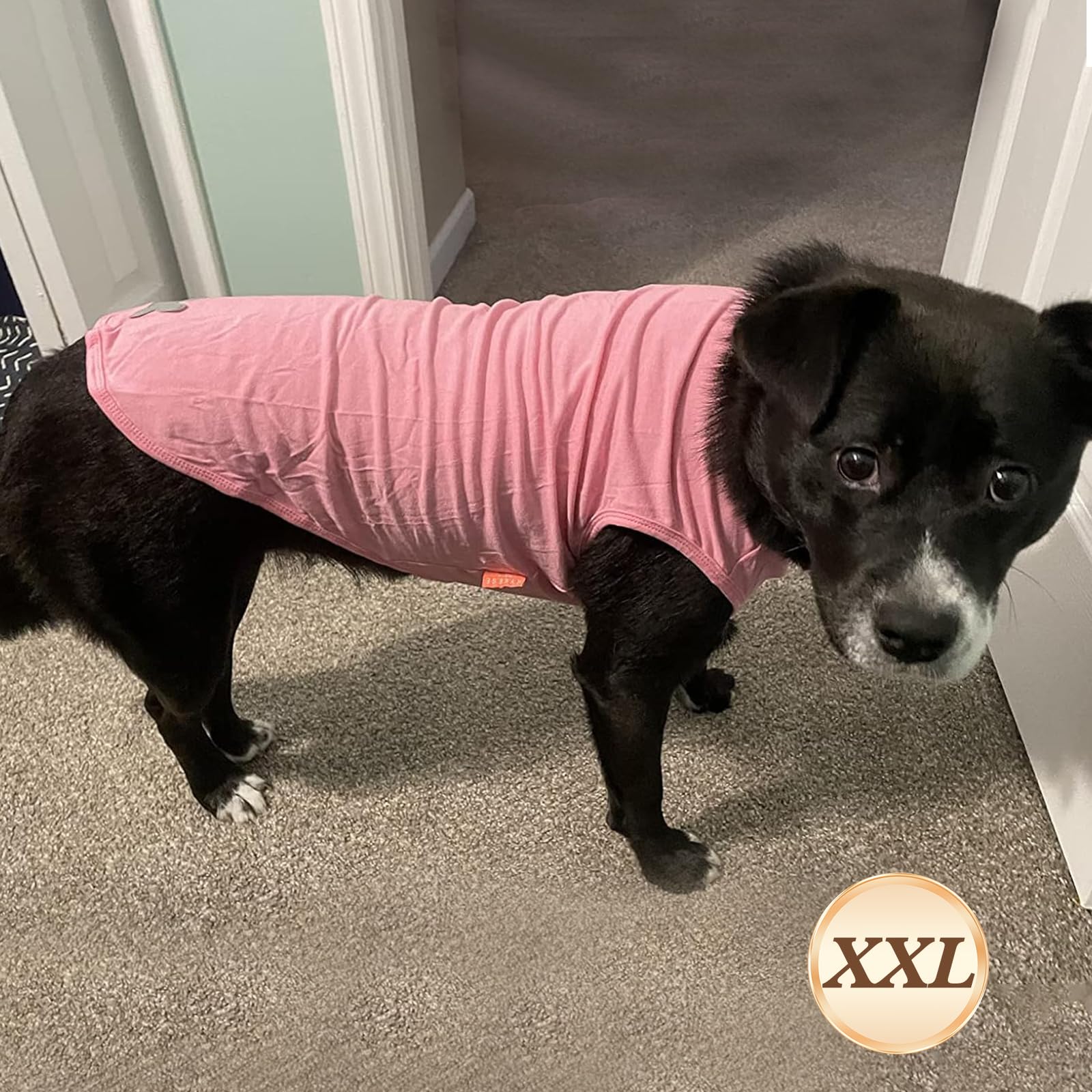 Kyeese 2Pack Dog Shirts Striped T Shirt For Medium Dogs Boy Lightweight Sleeveless Vest Cotton Tank Top Clothes, Xx-Large,Purple