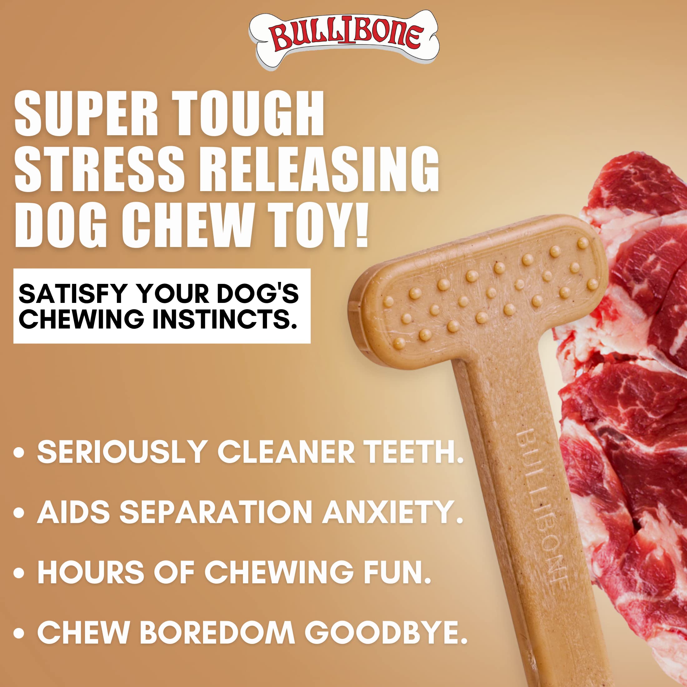 Bullibone Nylon Dog Chew Toy for Aggressive Chewers - Dental Hygiene Bone with Beef Flavor, Durable Tough Chew Toys for Extra La