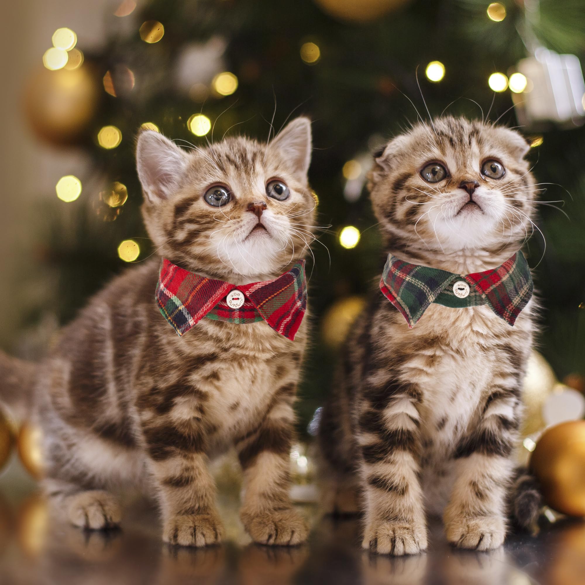 Adoggygo Christmas Cat Collars Breakaway With Bow Bell, 2 Pack Stylish Red Green Plaid Xmas Kitten Collar With Removable Shirt C
