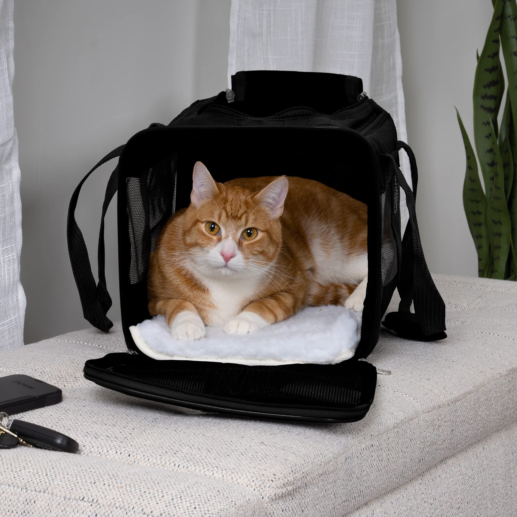 Sherpa Original Deluxe Airline Approved Pet Carrier, Medium, Black