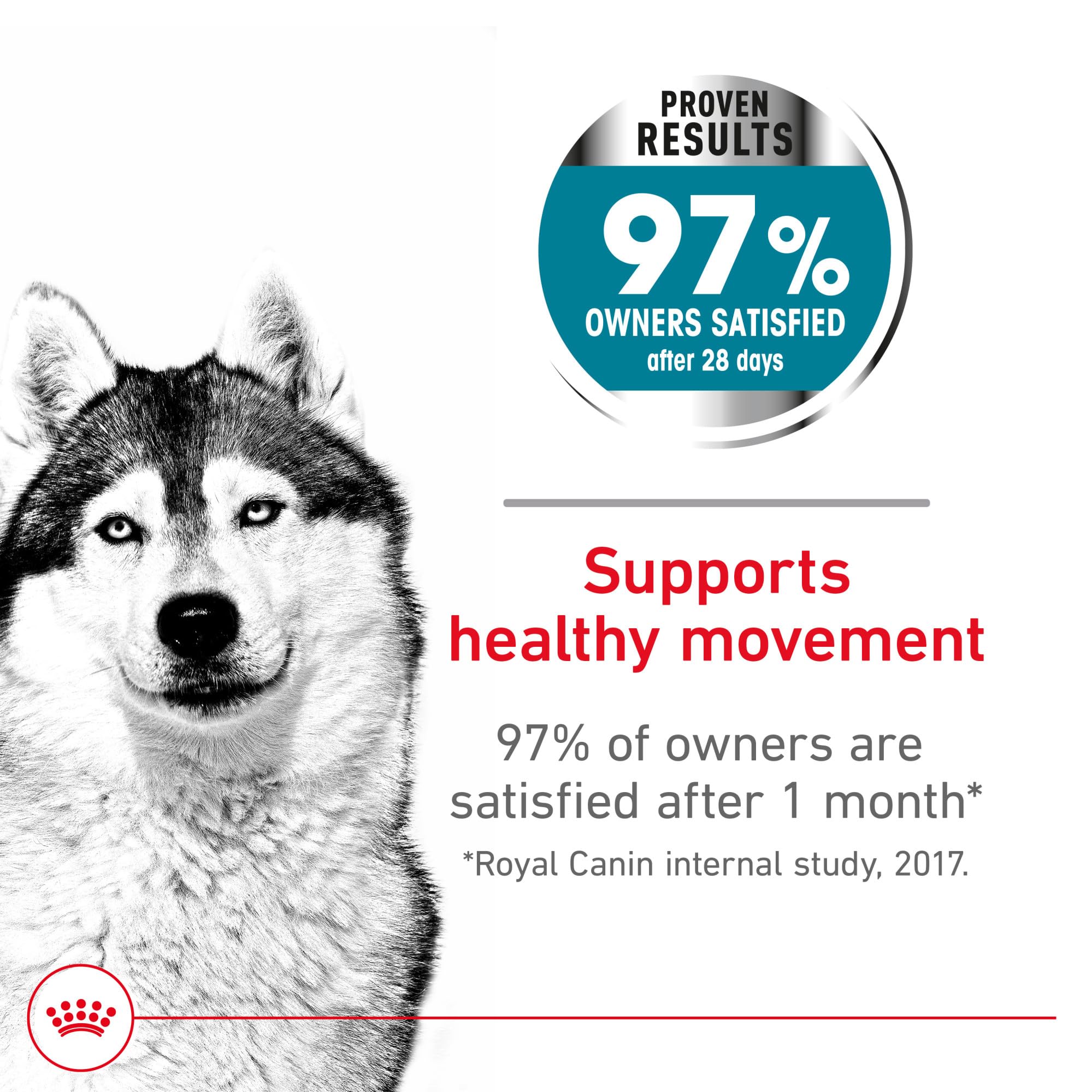 Royal Canin Canine Care Nutrition Large Joint Care Adult Dry Dog Food, 30 lb Bag
