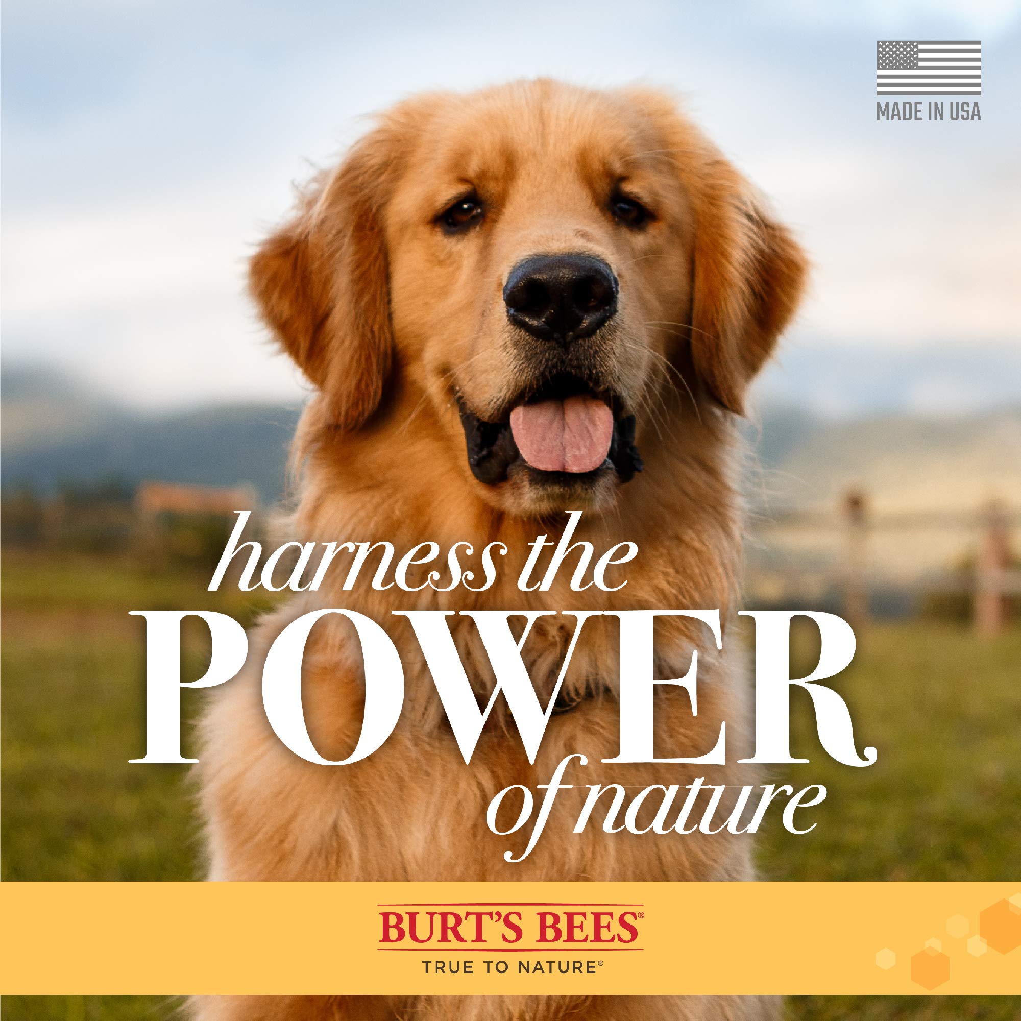 Burt'S Bees For Pets Paw And Nose Lotion With Rosemary And Olive Oil, 99.7% Natural Origin Formulas, Dog Paw Pad Lotion, Paw Moisturizer For Dogs, Dog Nose Lotion, 4Oz