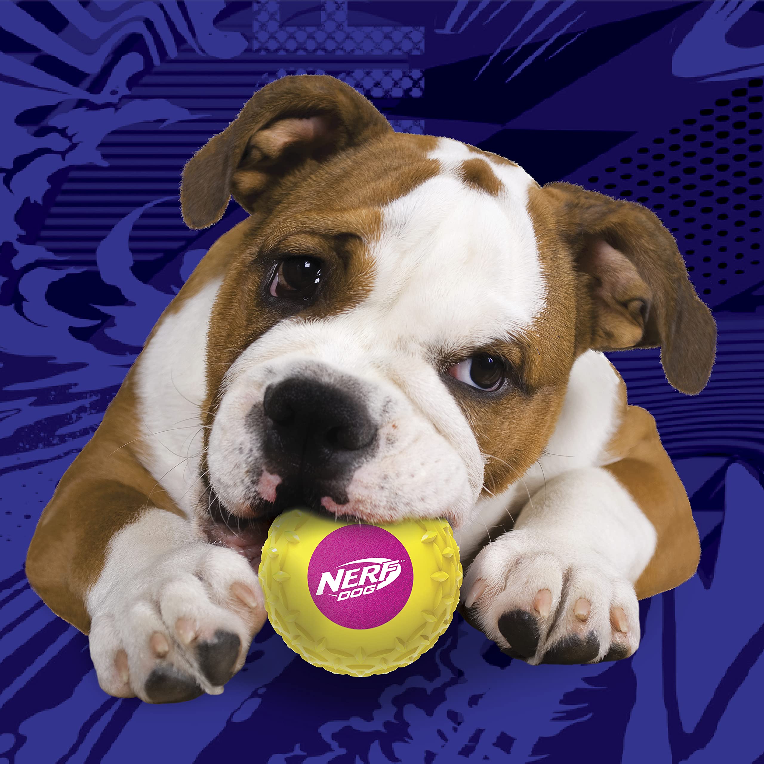 Nerf Dog Squeak Armor Tennis Balls 3-Pack - 2.5in, Yellow/Pink, Orange/Blue, Blue/Green, Model NF-7259