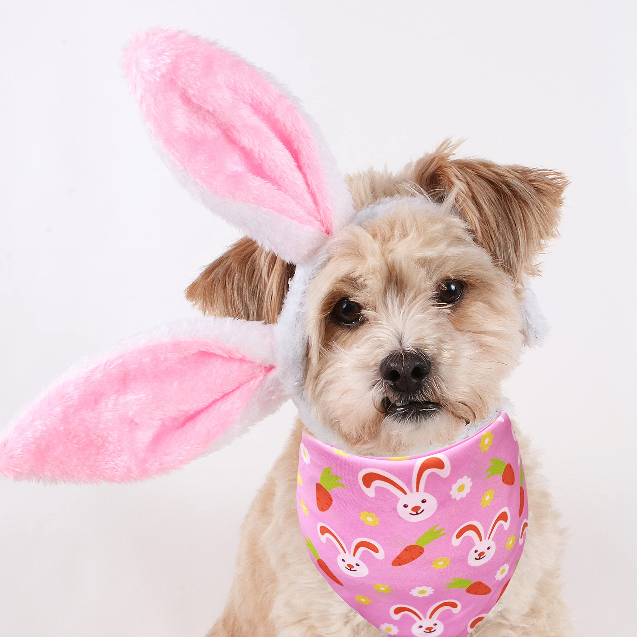 2 Pack Easter Dog Cat Bandana, Holiday Bunny And Carrot Bandana For Pets Puppies (Pattern 2, Small)
