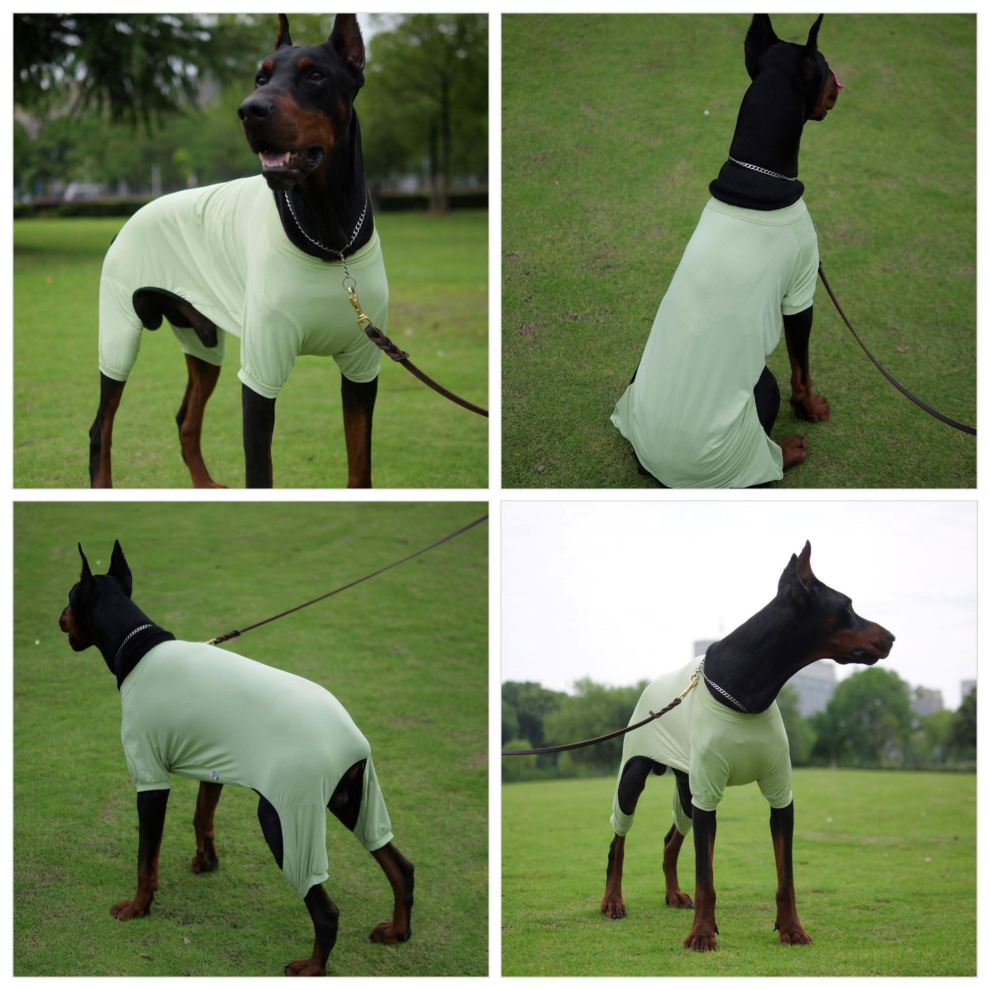 Lovelonglong Dog Jumpsuit With Uv Protection And Quick-Dry Fabric For Spring Summer Pet Pajamas Light Green Xl