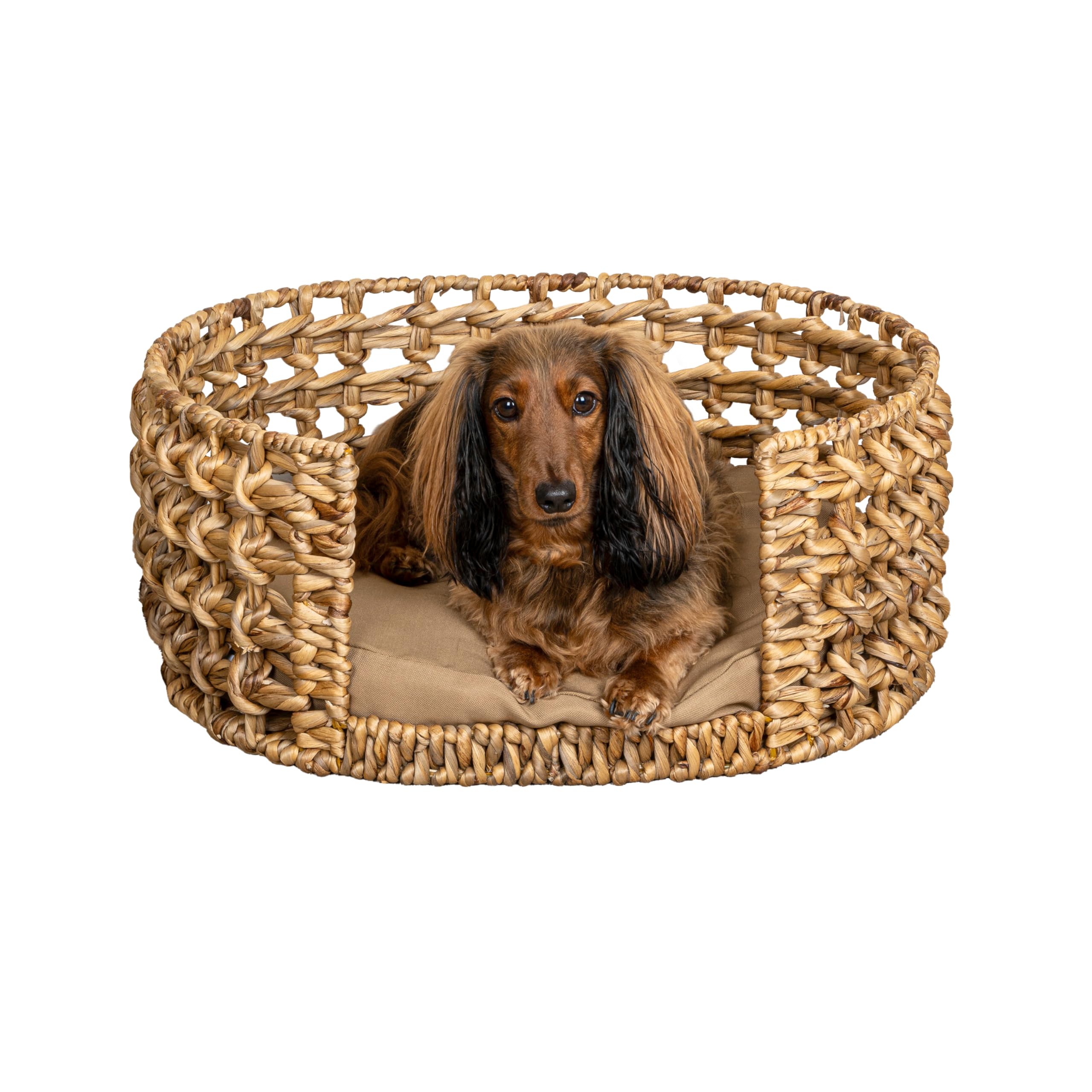 The LICKER Store DBD4000A Gigi 24 x 18 Modern Bohemian Handwoven Hyacinth Open-Weave Oval Pet Bed with Machine-Washable Cushion,