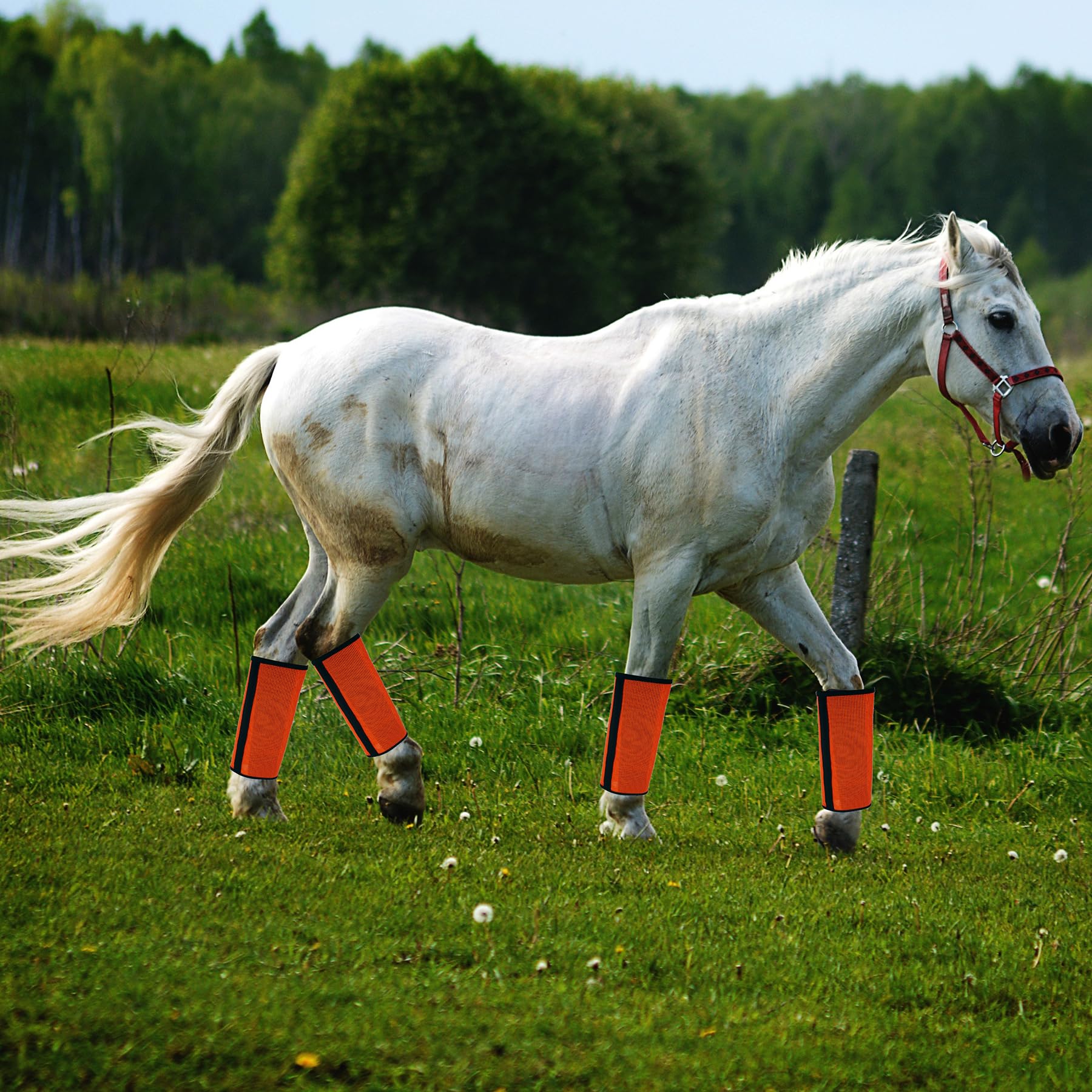 4 Pack Mesh Fly Boots For Horse Loose Breathable Horse Leggins Protective Horse Leg Wraps Protective Horse Leggings For Preventi