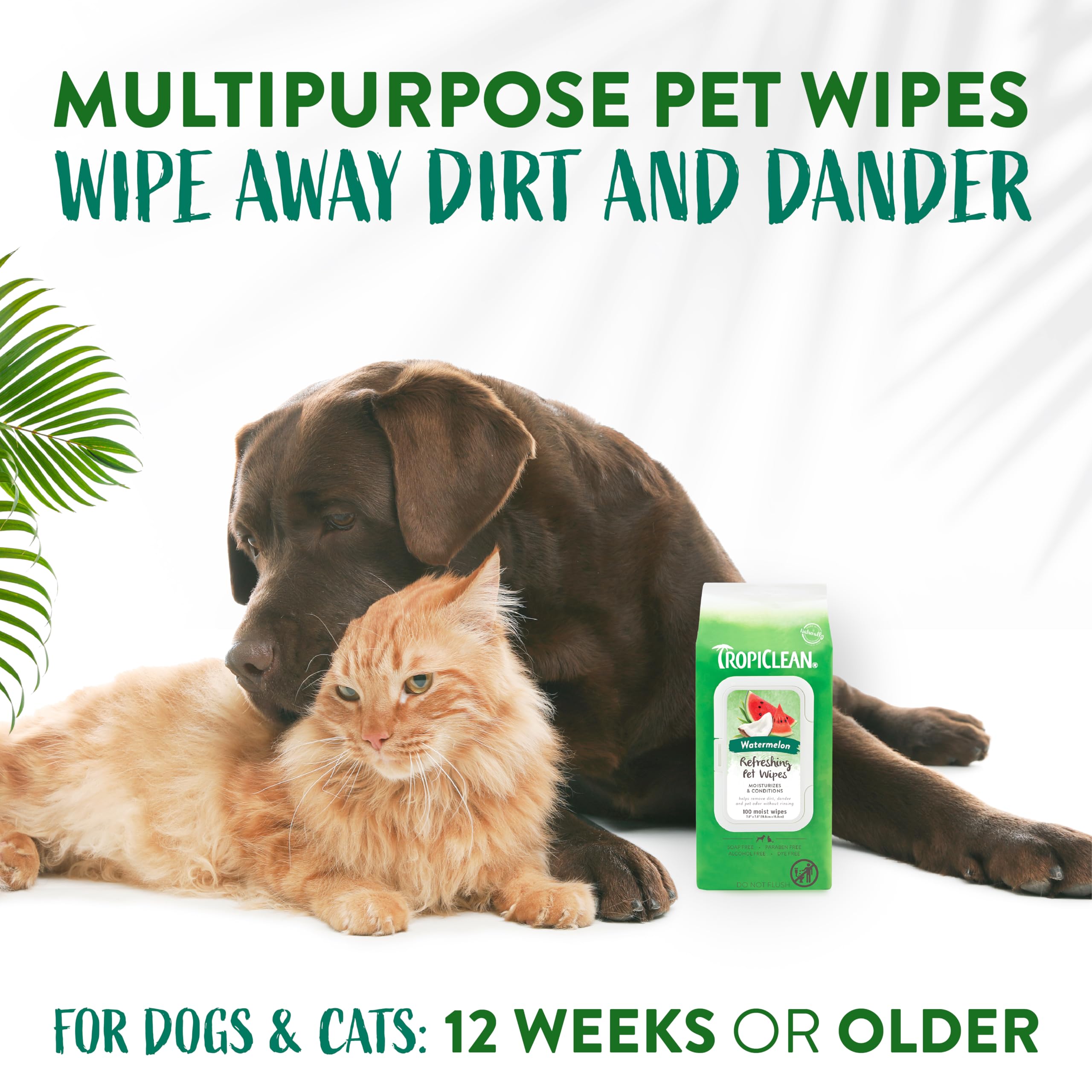 Tropiclean Watermelon Dog Wipes For Paws And Butt | Deep Cleaning Dog Grooming Wipes | Safe For The Face | Cat Friendly | 100 Co