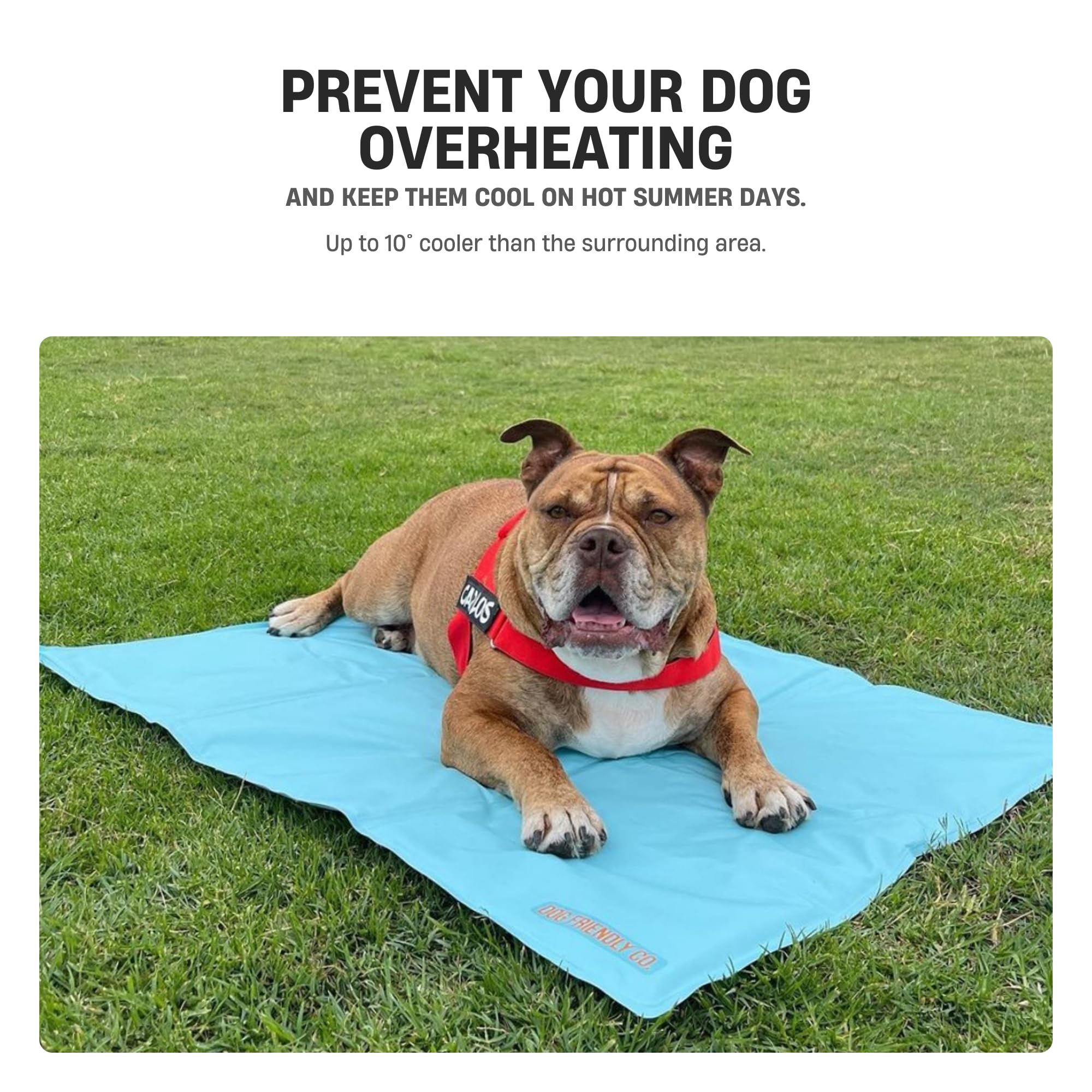 Df Co. Dog Cooling Mat For Summer | Automatic Cooling, Easily Foldable, Non-Toxic Gel Interior | Pink, Size L