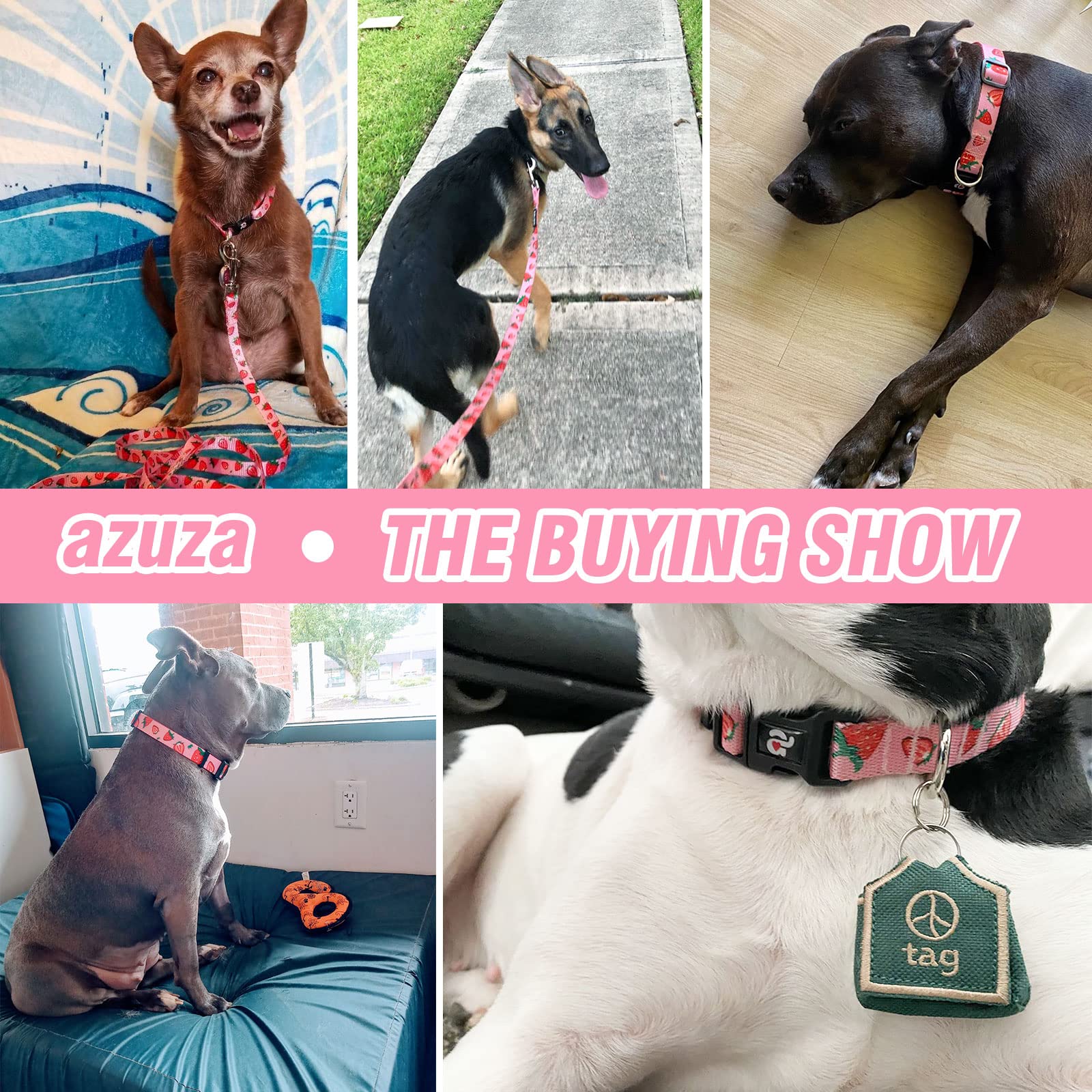 Azuza Dog Collar And Leash Set, Cute Strawberry Patterns On Pink Nylon Collar And Matching Leash, Great Option For Extra Small Dogs