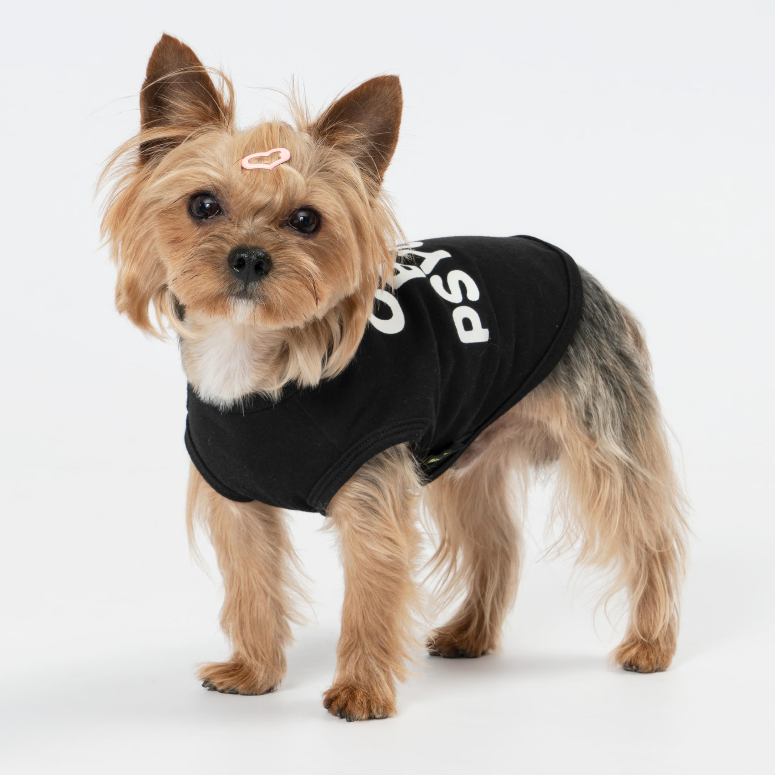 Fitwarm Cute But Psycho Dog Shirt, Summer Clothes For Small Dogs Boy Girl, Funny Pet Outfit, Black, White, Medium