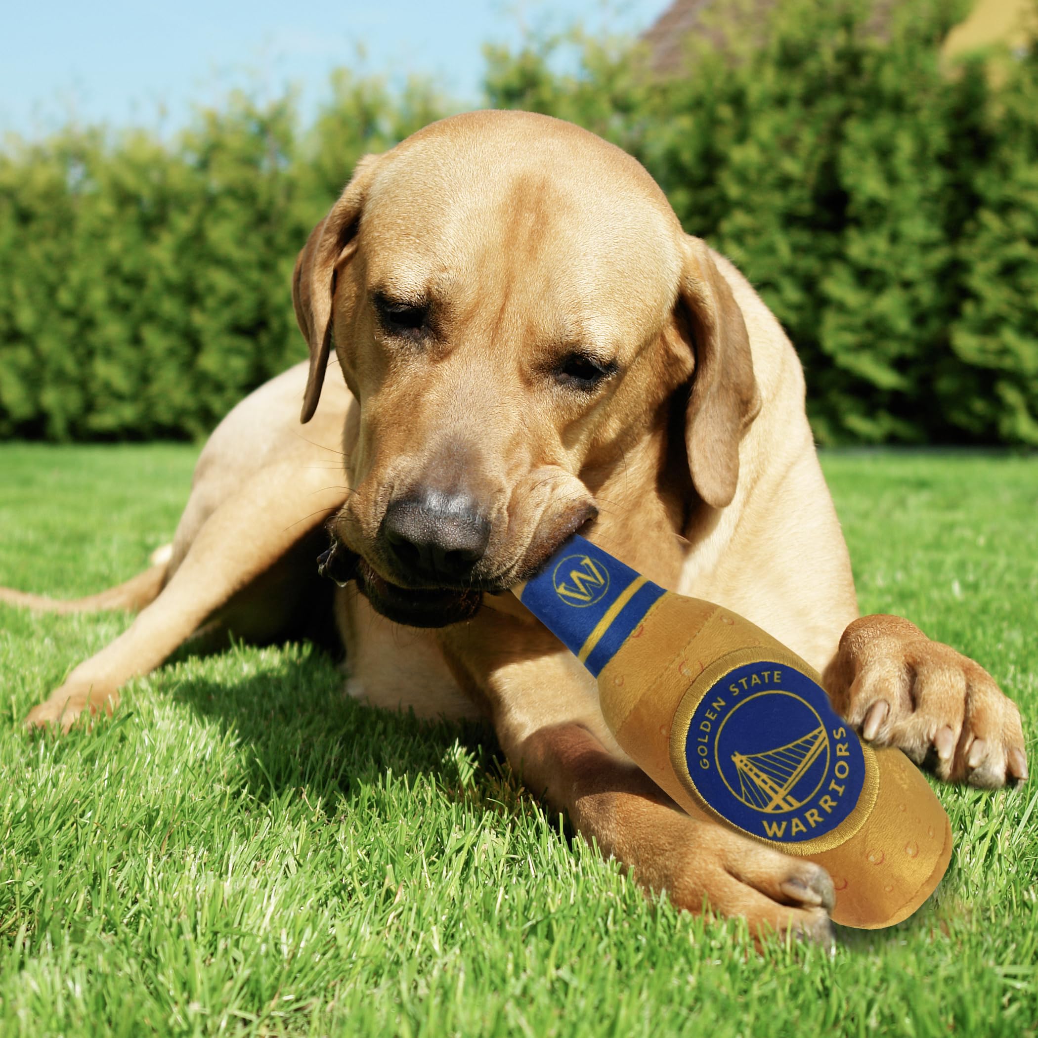 Pets First Nba Golden State Warriors Beer Bottle Plush Dog & Cat Squeak Toy - Cutest Stadium Soda Bottle Snack Plush Toy For Dog