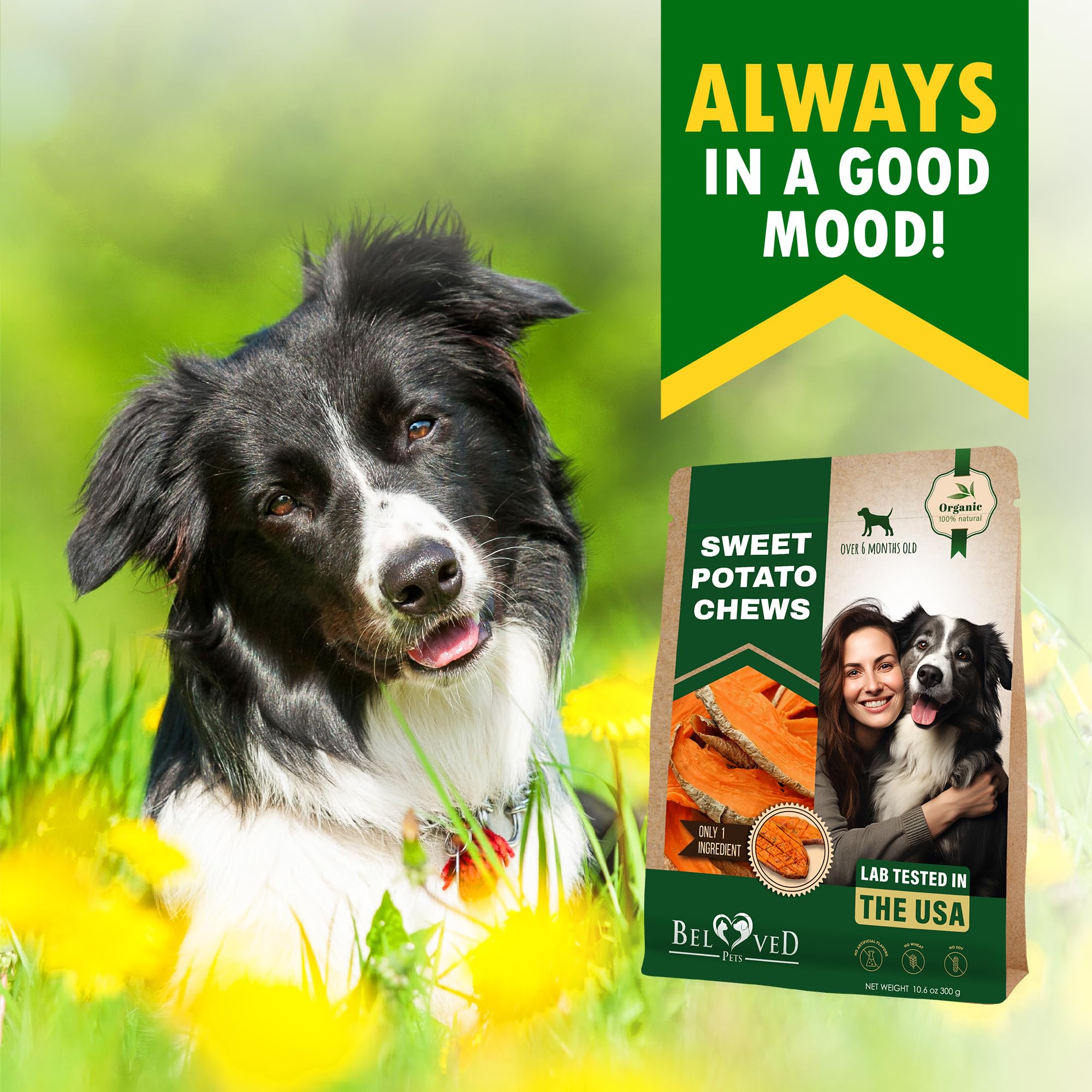 Dog Treats Sweet Potato Chips 11 oz - All Natural Pet Snack Chews - Grain Free & Human Grade Dried Snacks in Bulk - Best Jerky f